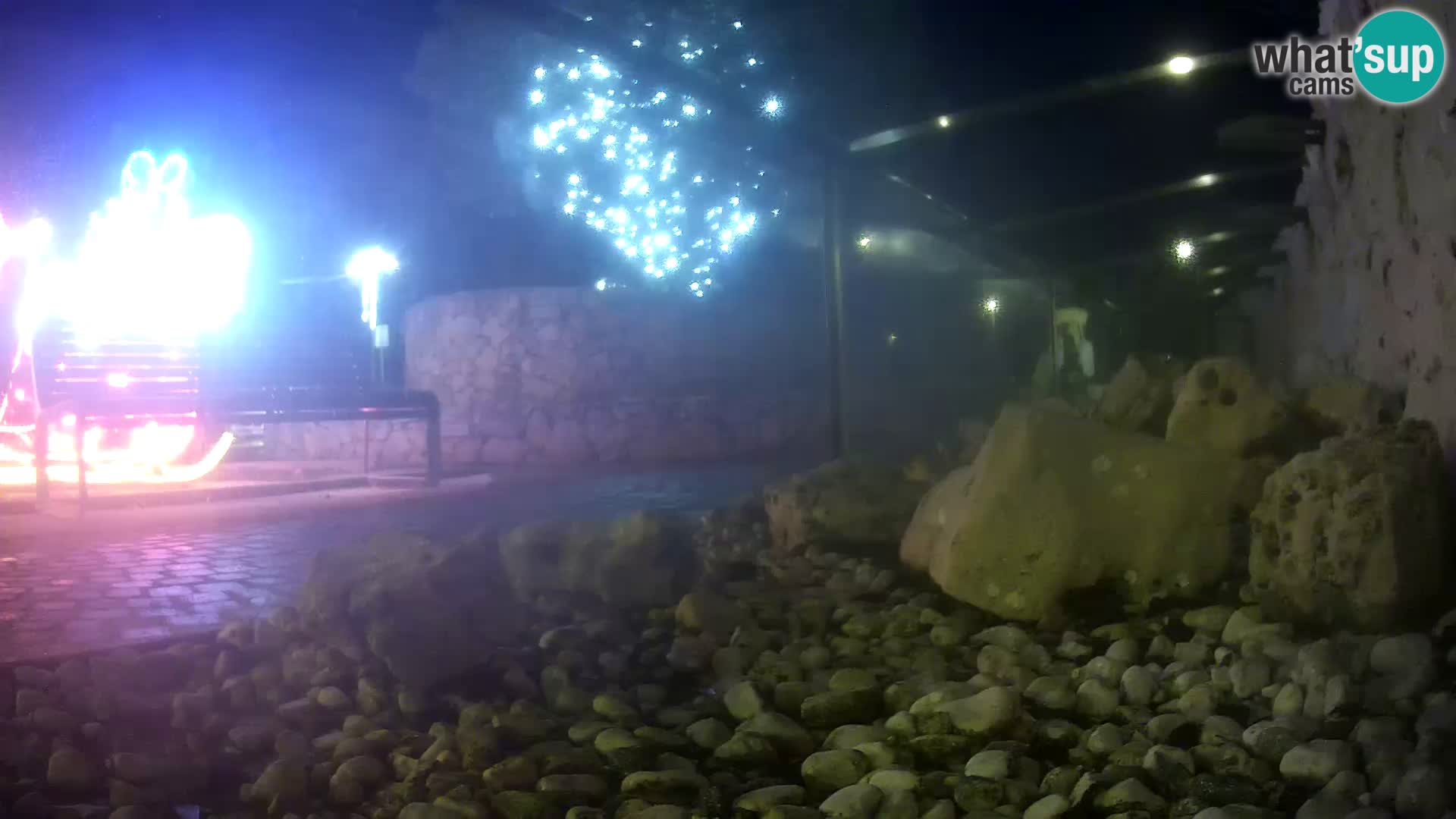 Aquario marino esterno –  Rogoznica livecam Croazia