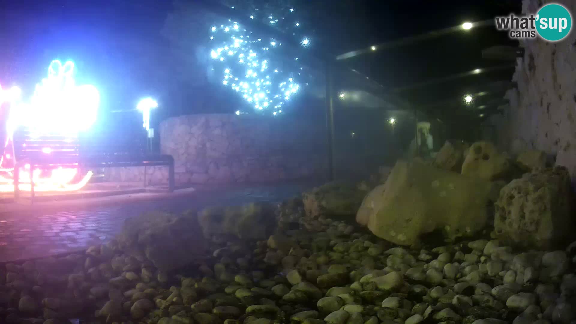 Aquario marino esterno –  Rogoznica livecam Croazia