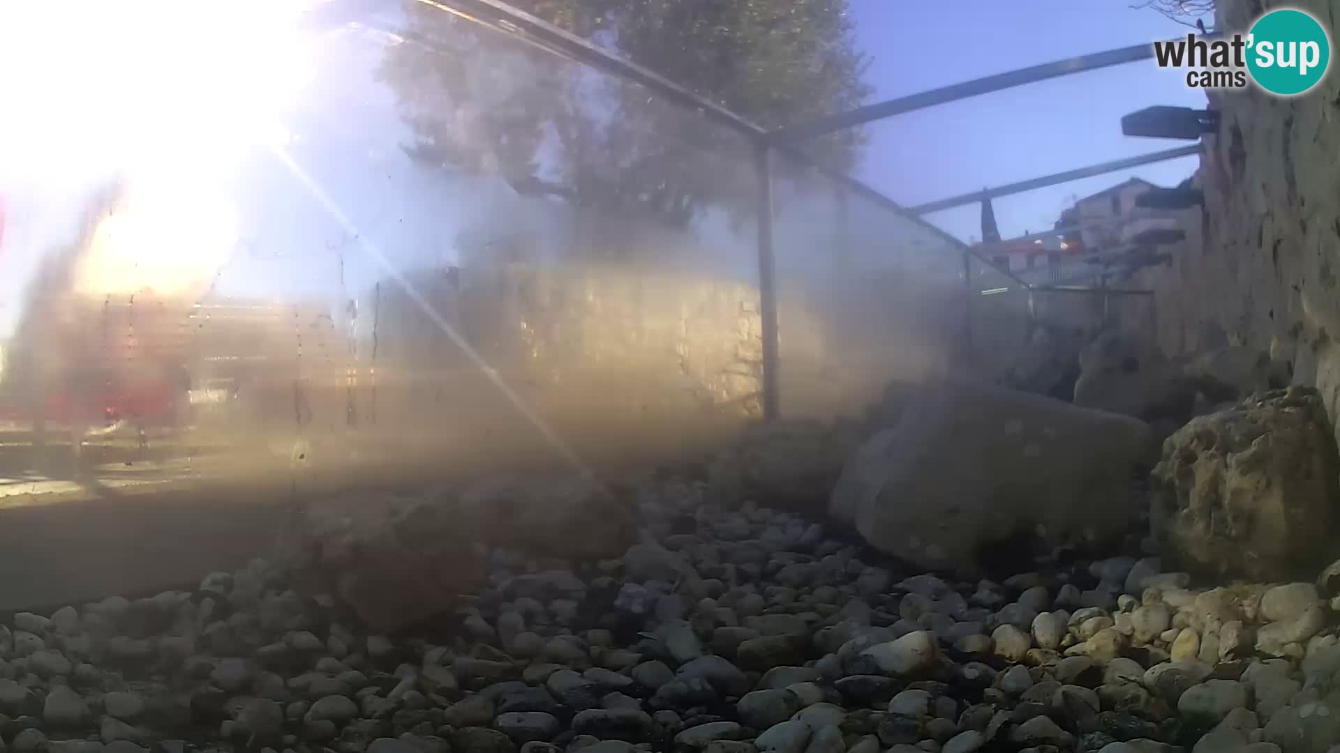 Marine Aquarium im Freien Rogoznica webcam Kroatien