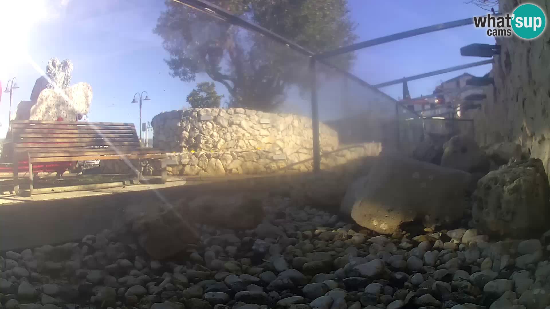 Webcam de l’aquarium marin extérieur de Rogoznica Croatie