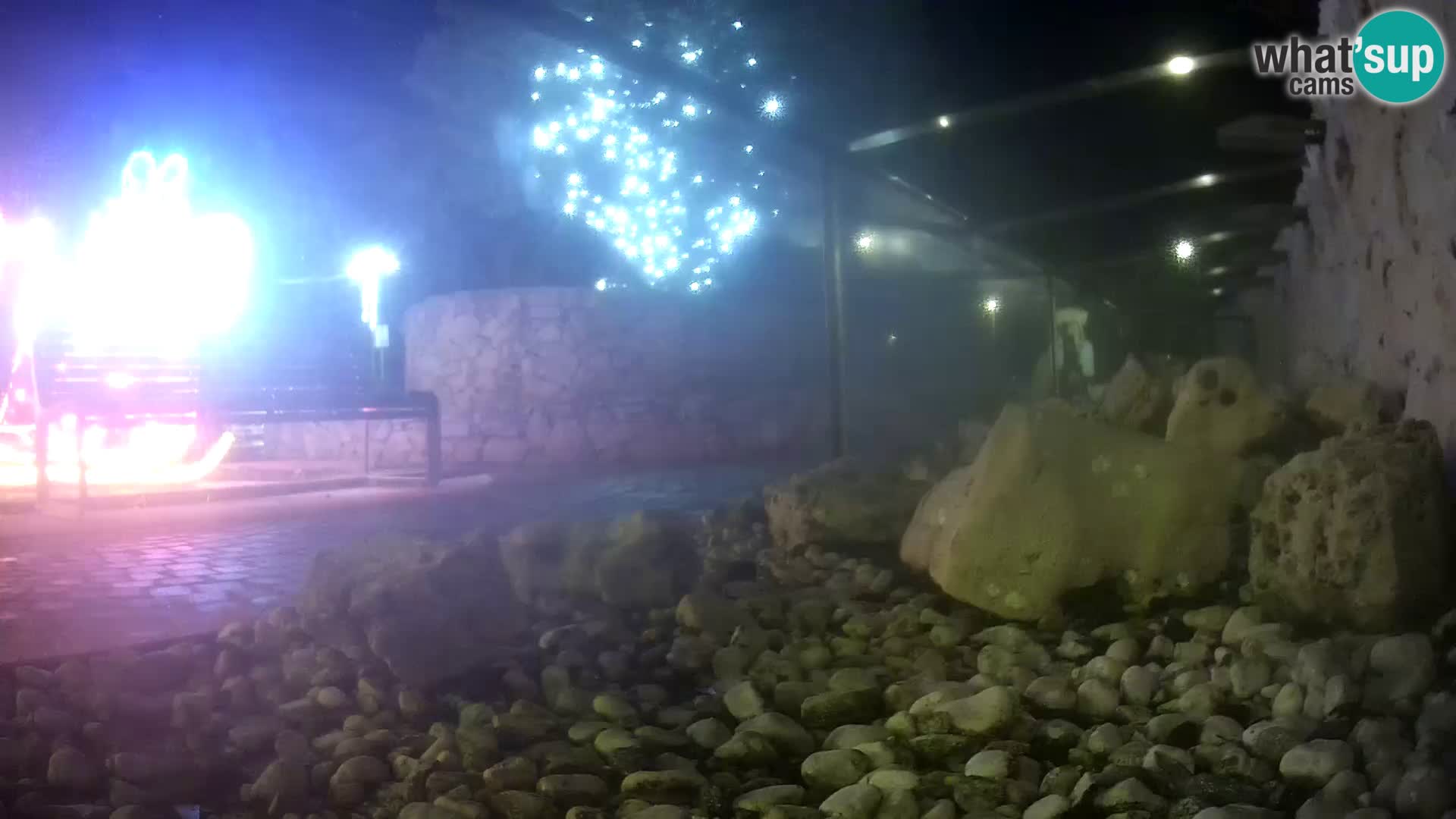 Outdoor Marine Aquarium Rogoznica webcam Croatia