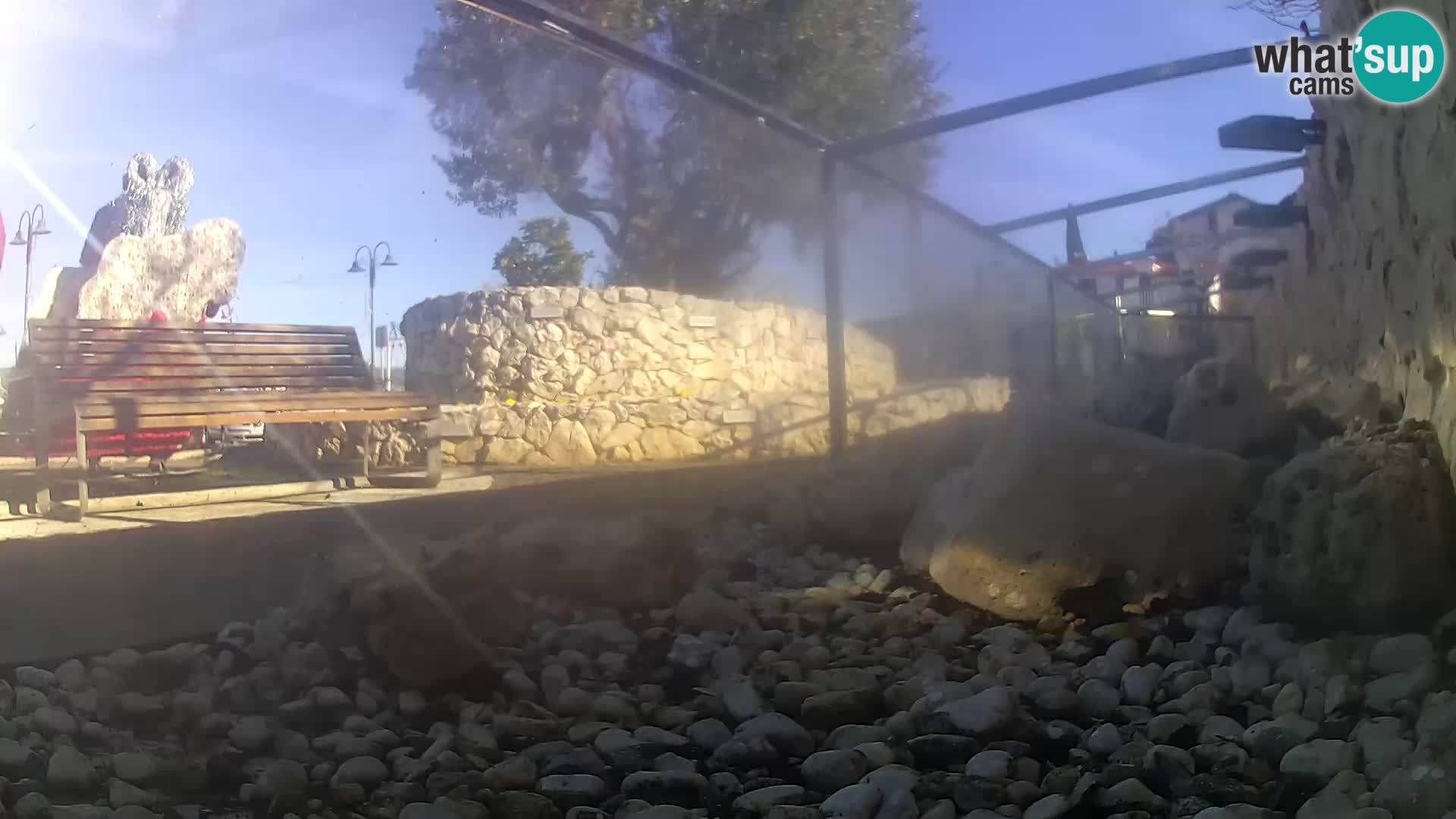 Outdoor Marine Aquarium Rogoznica webcam Croatia