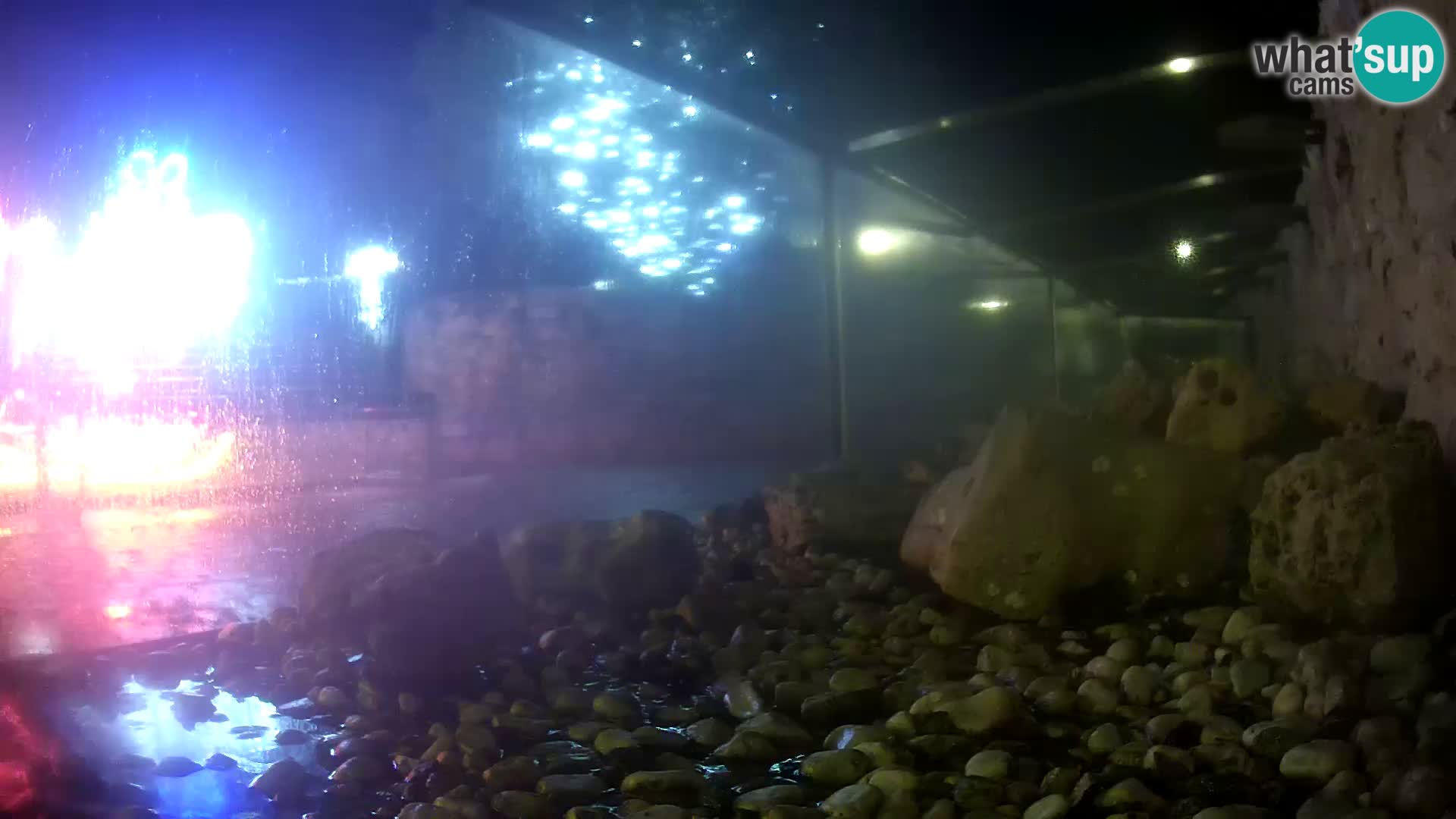 Outdoor Marine Aquarium Rogoznica webcam Croatia