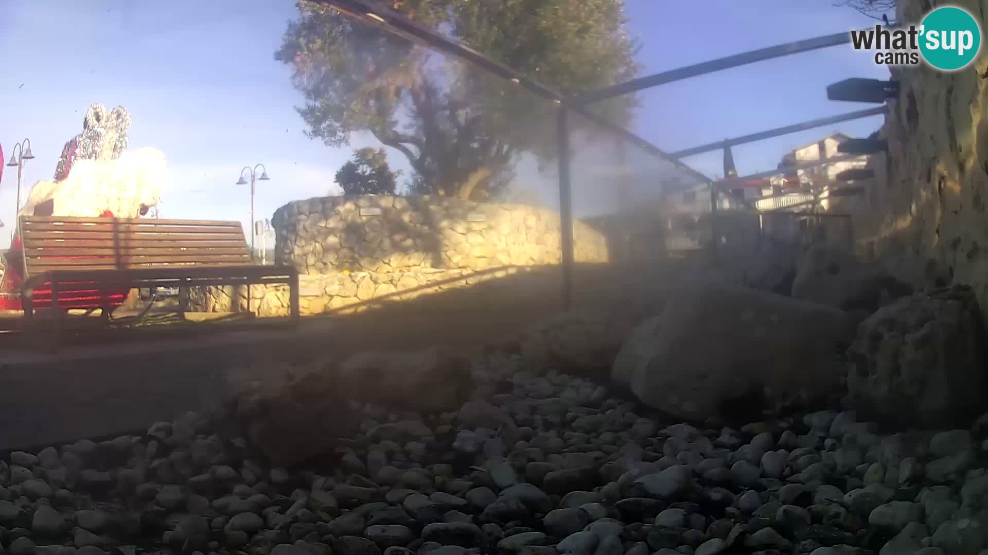 Acuario marino al aire libre Rogoznica webcam Croacia