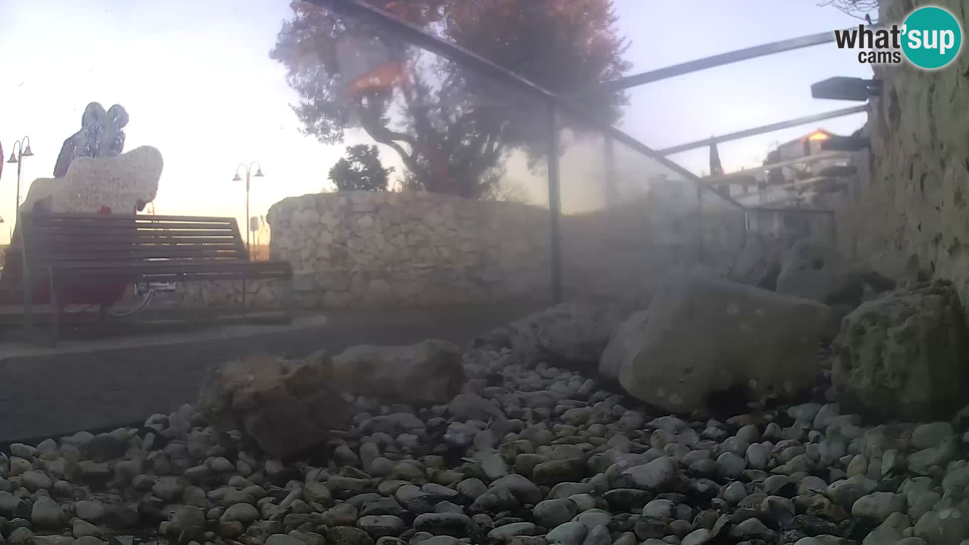 Aquario marino esterno –  Rogoznica livecam Croazia