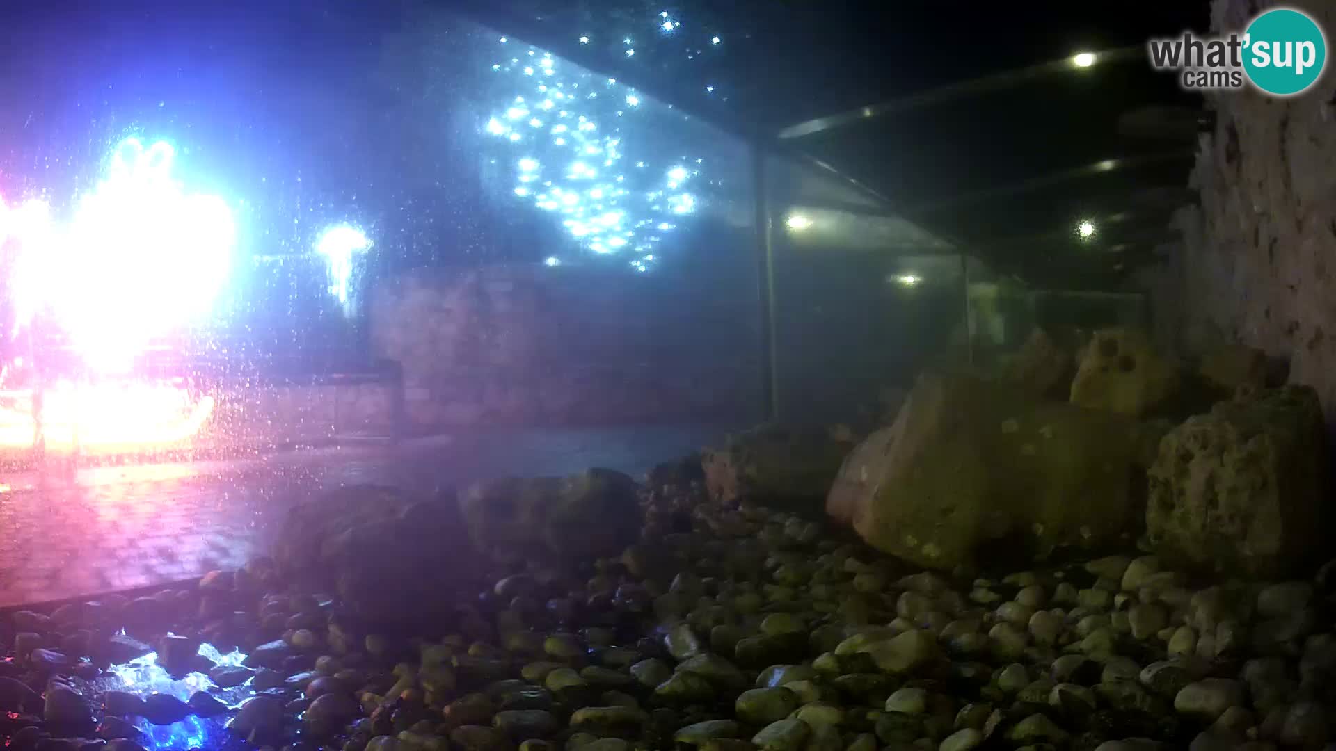 Webcam de l’aquarium marin extérieur de Rogoznica Croatie