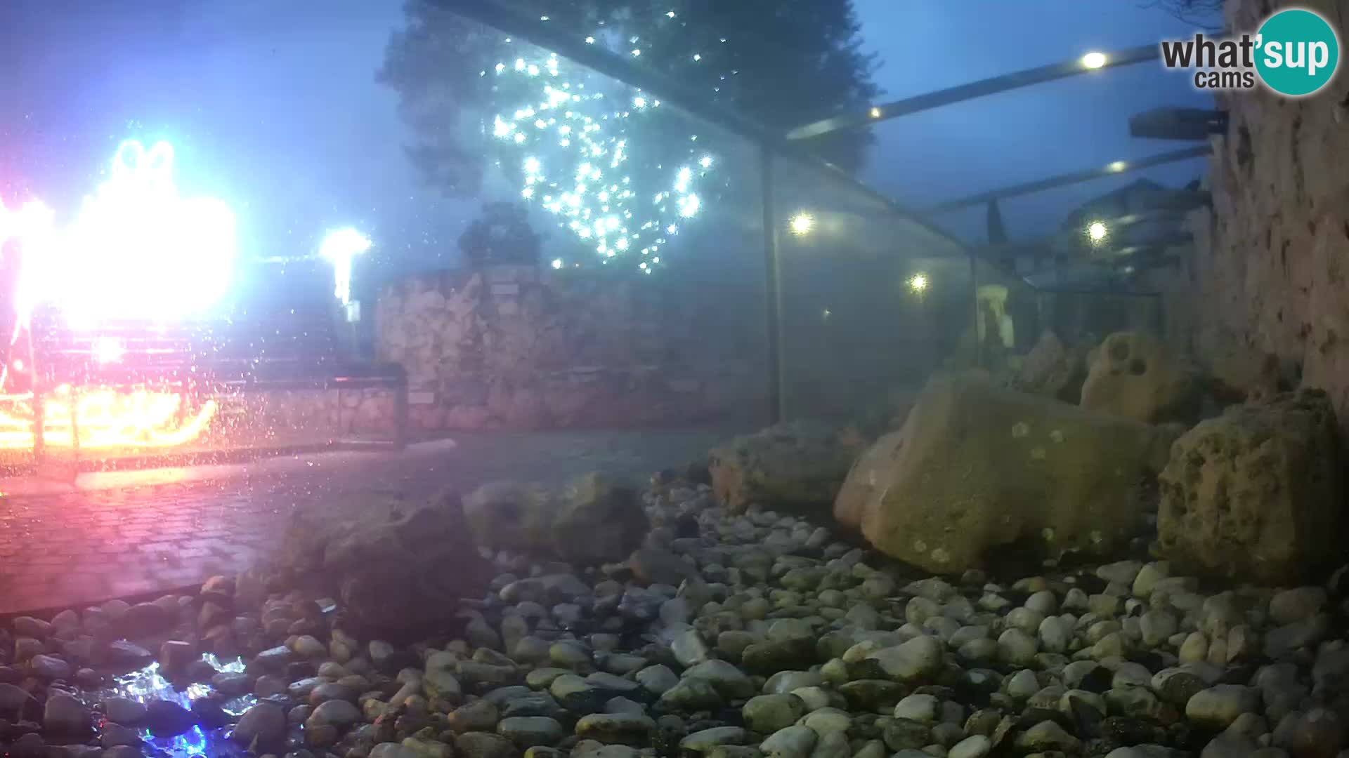 Outdoor Marine Aquarium Rogoznica webcam Croatia