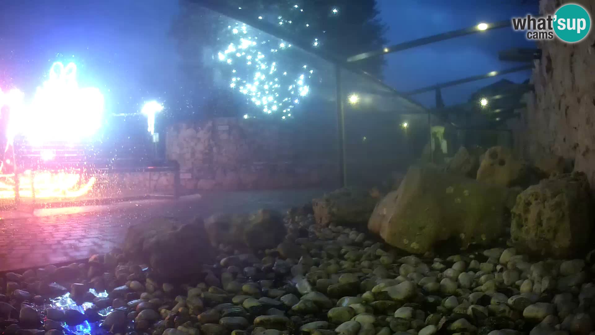 Aquario marino esterno –  Rogoznica livecam Croazia