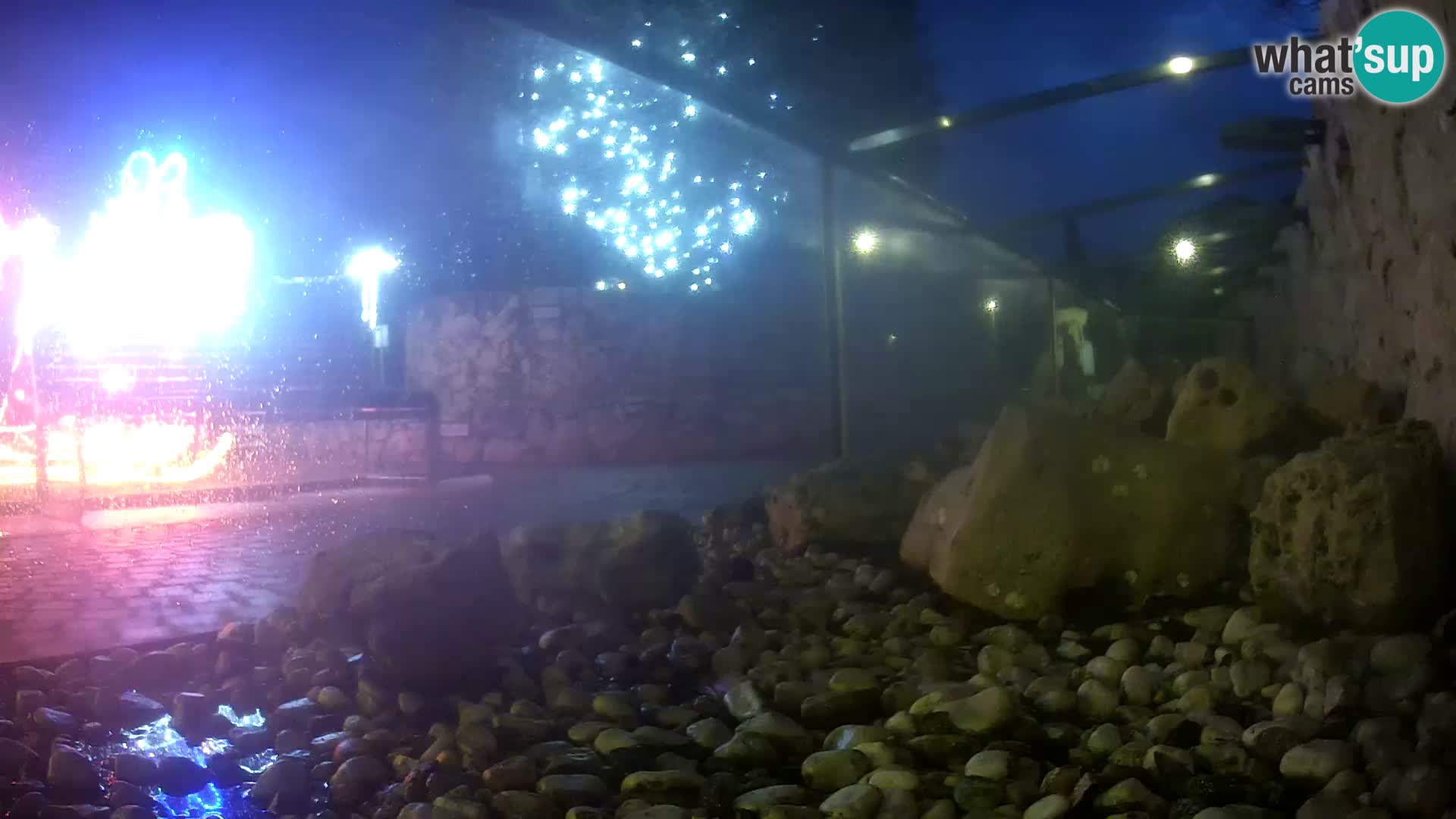 Vanjski morski akvarij Rogoznica web kamera Hrvatska