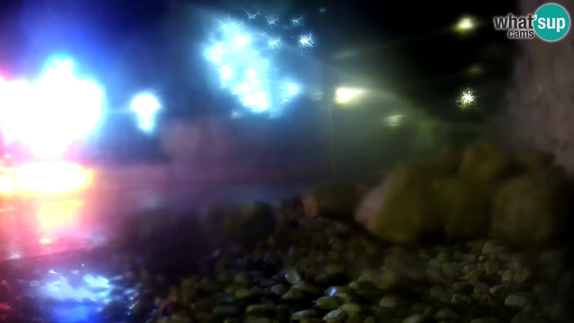 Outdoor Marine Aquarium Rogoznica webcam Croatia