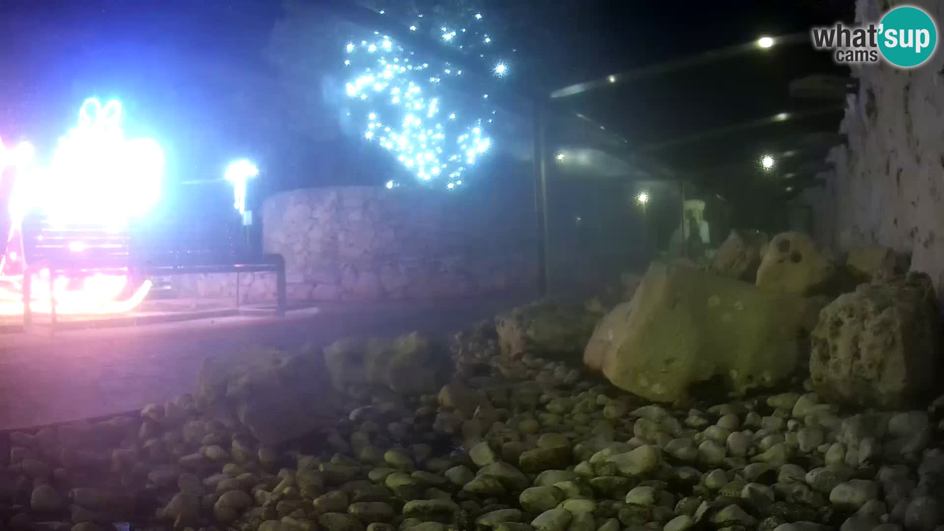Acuario marino al aire libre Rogoznica webcam Croacia