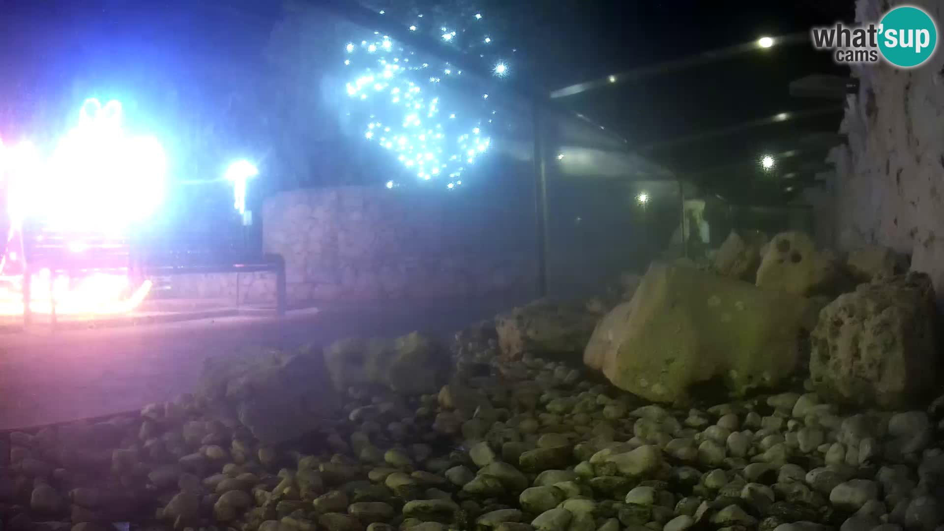 Marine Aquarium im Freien Rogoznica webcam Kroatien