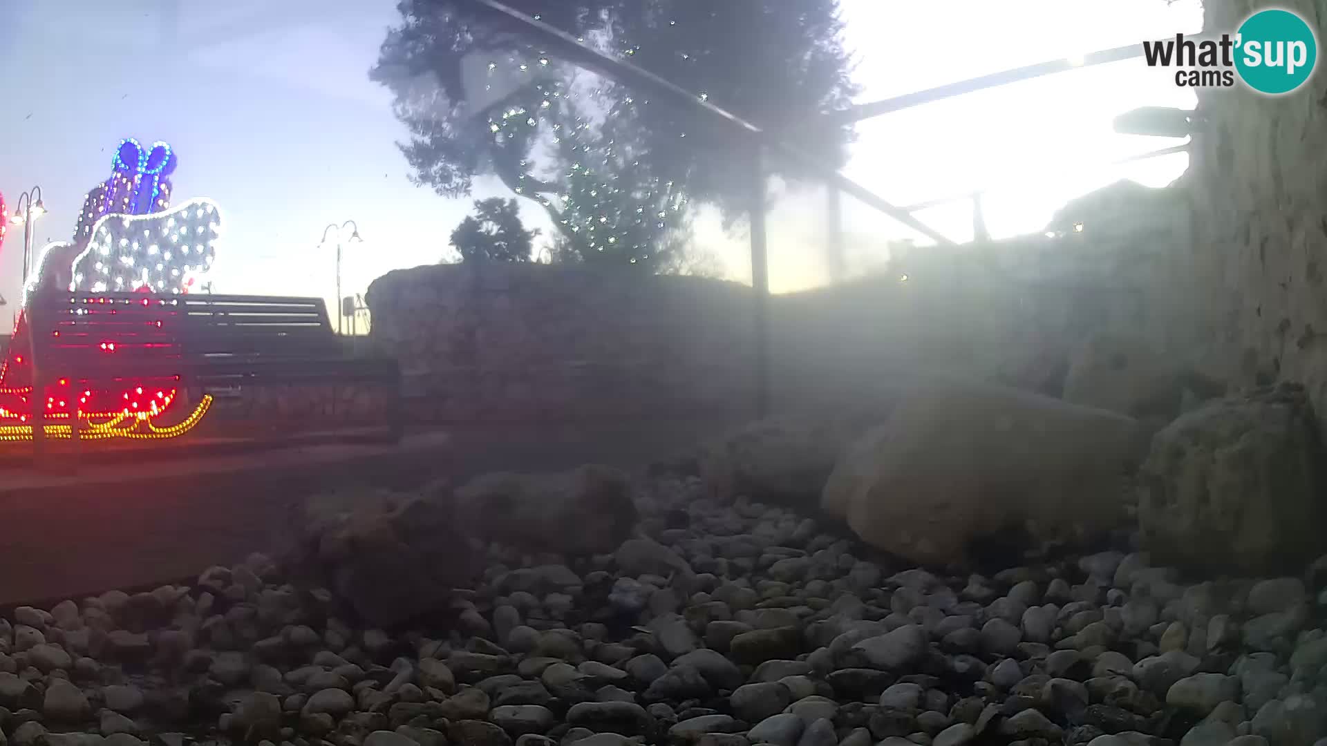 Outdoor Marine Aquarium Rogoznica webcam Croatia