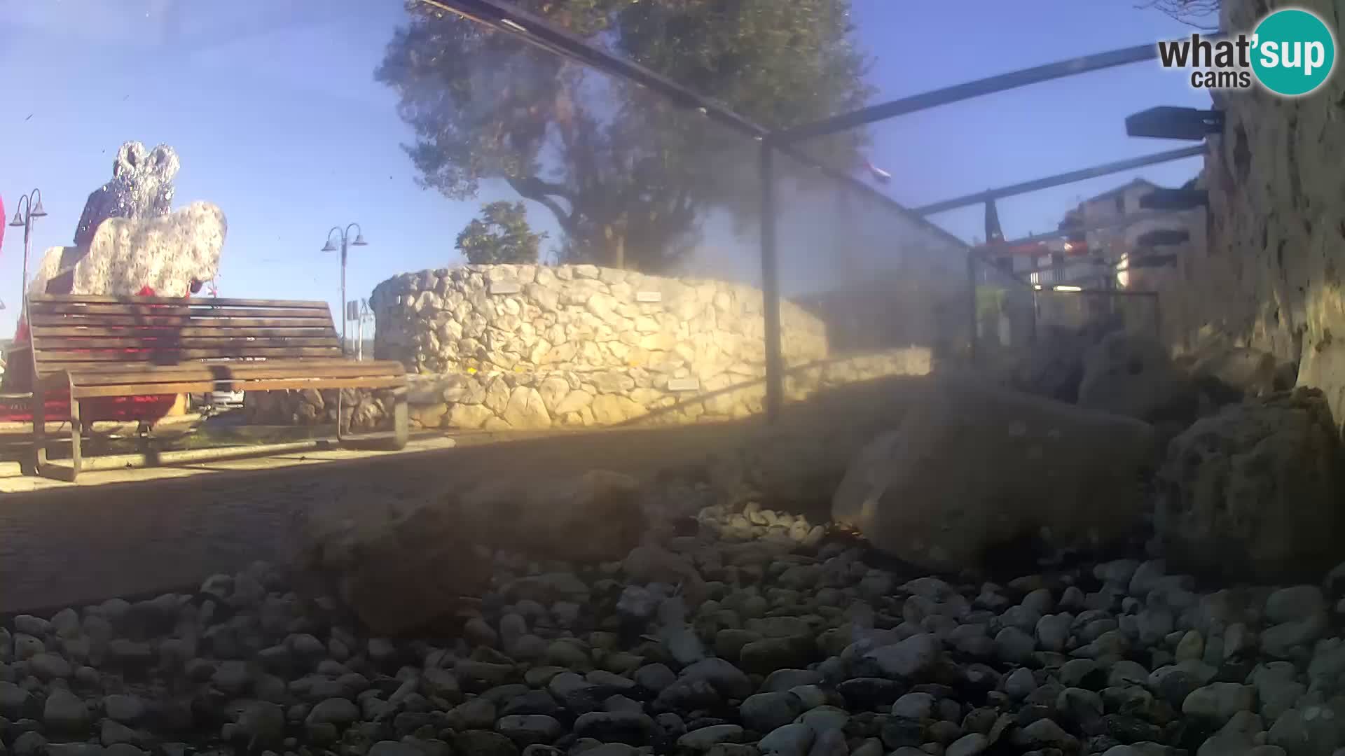 Acuario marino al aire libre Rogoznica webcam Croacia