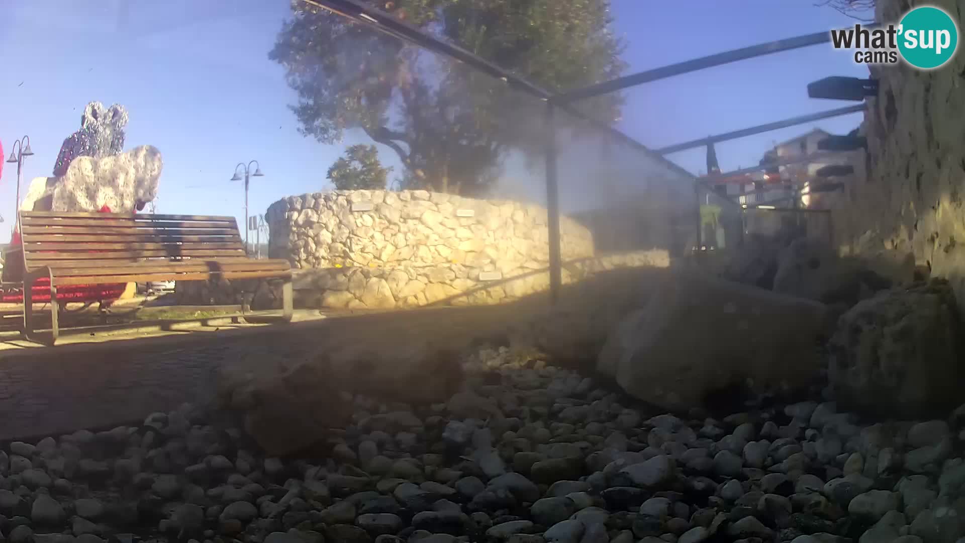 Vanjski morski akvarij Rogoznica web kamera Hrvatska