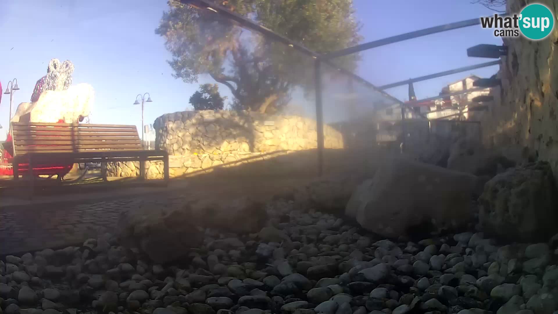 Zunanji morski akvarij Rogoznica spletna kamera Hrvaška