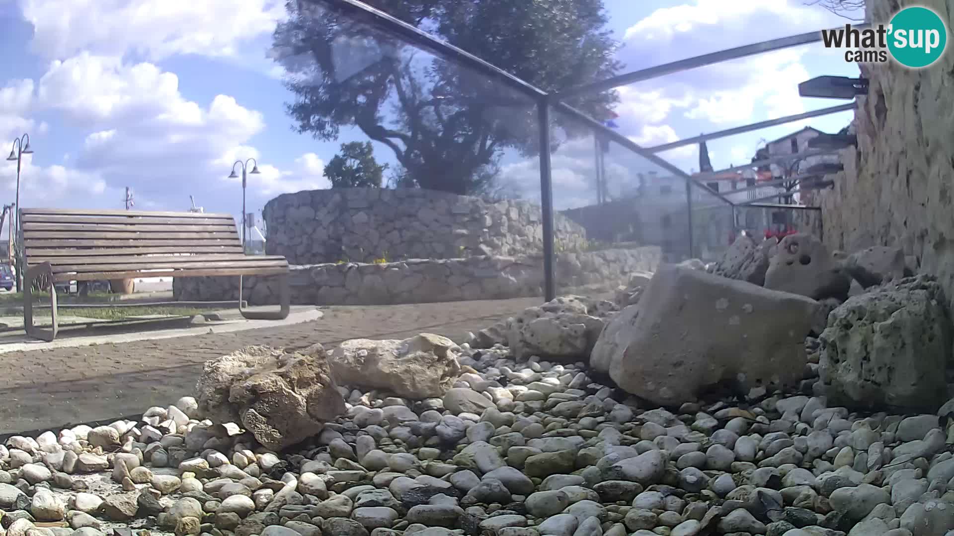 Acuario marino al aire libre Rogoznica webcam Croacia