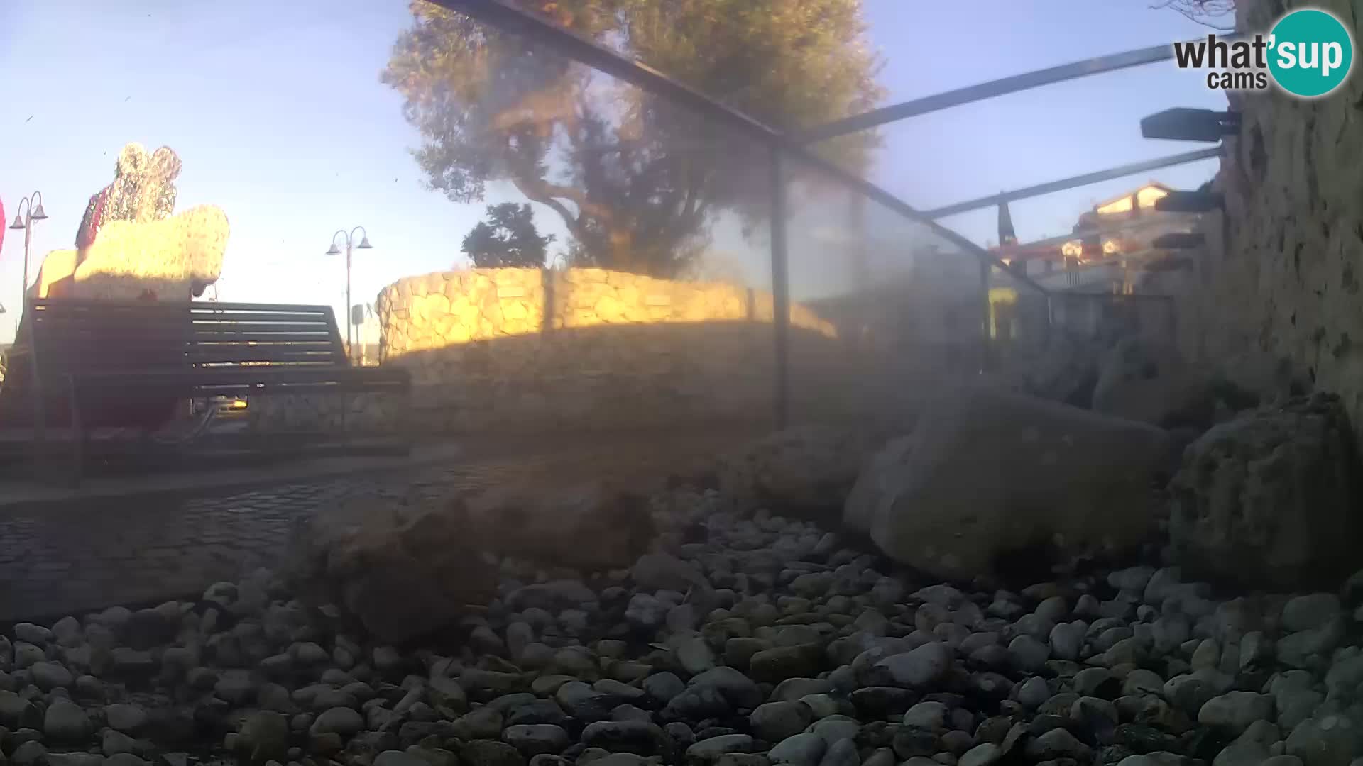 Webcam de l’aquarium marin extérieur de Rogoznica Croatie