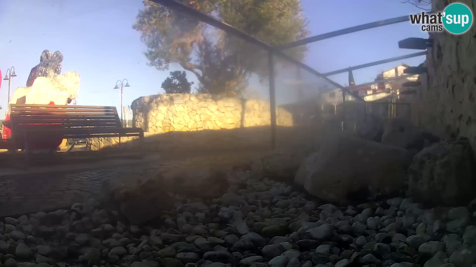 Vanjski morski akvarij Rogoznica web kamera Hrvatska