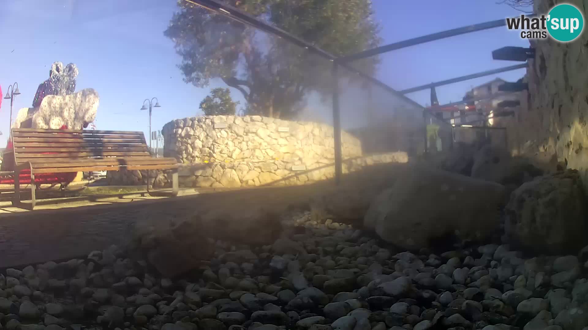 Acuario marino al aire libre Rogoznica webcam Croacia