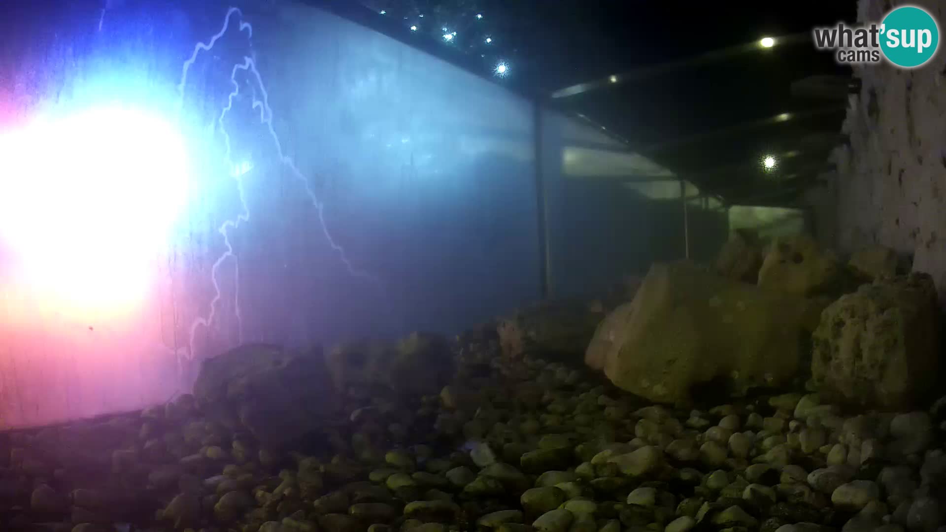 Webcam de l’aquarium marin extérieur de Rogoznica Croatie