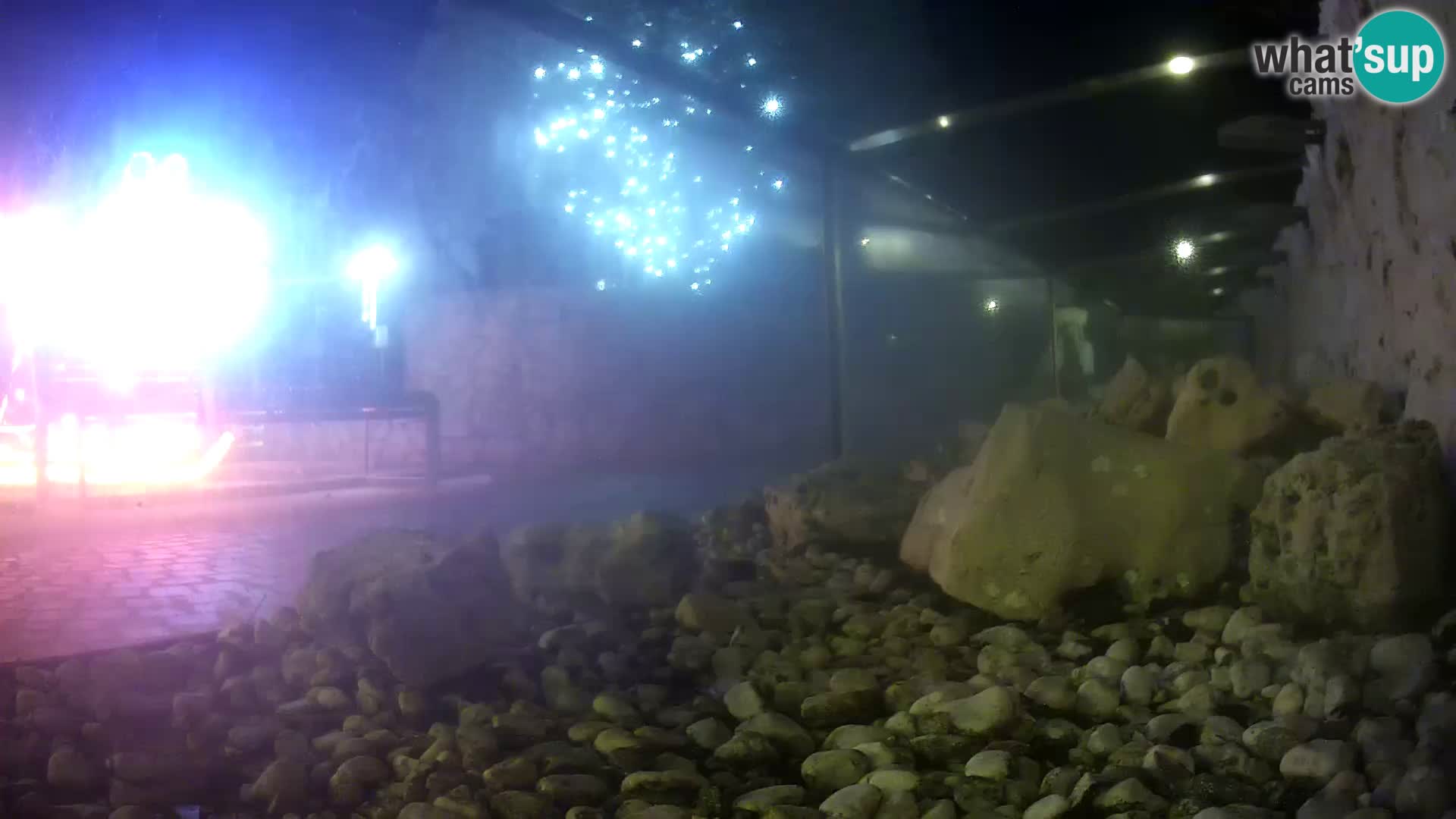 Acuario marino al aire libre Rogoznica webcam Croacia