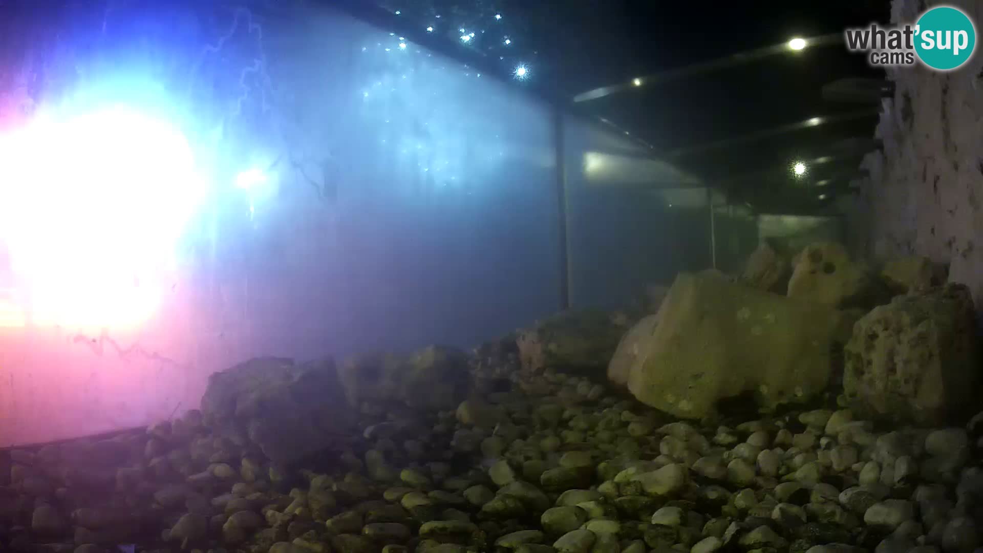 Webcam de l’aquarium marin extérieur de Rogoznica Croatie