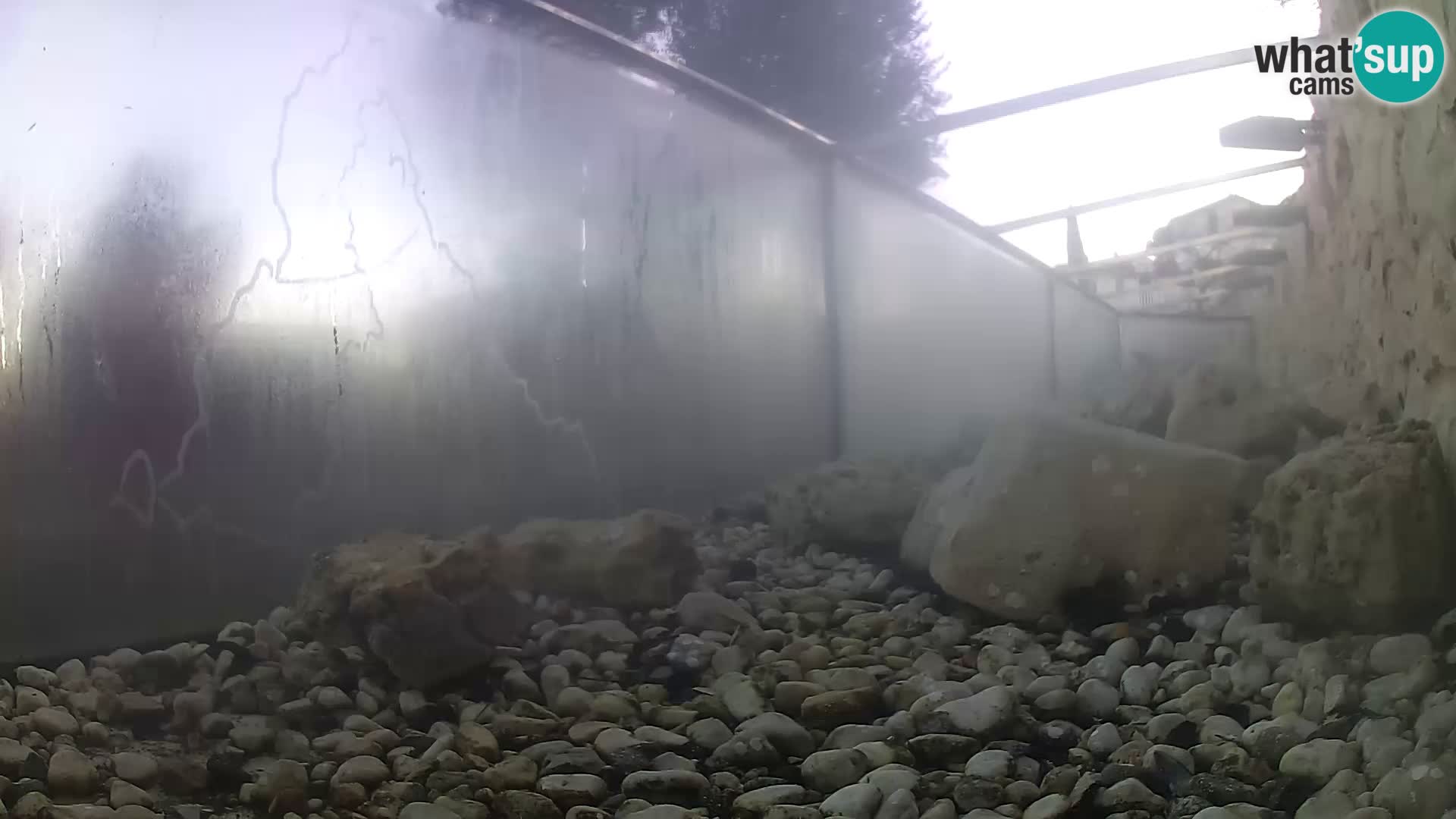 Zunanji morski akvarij Rogoznica spletna kamera Hrvaška