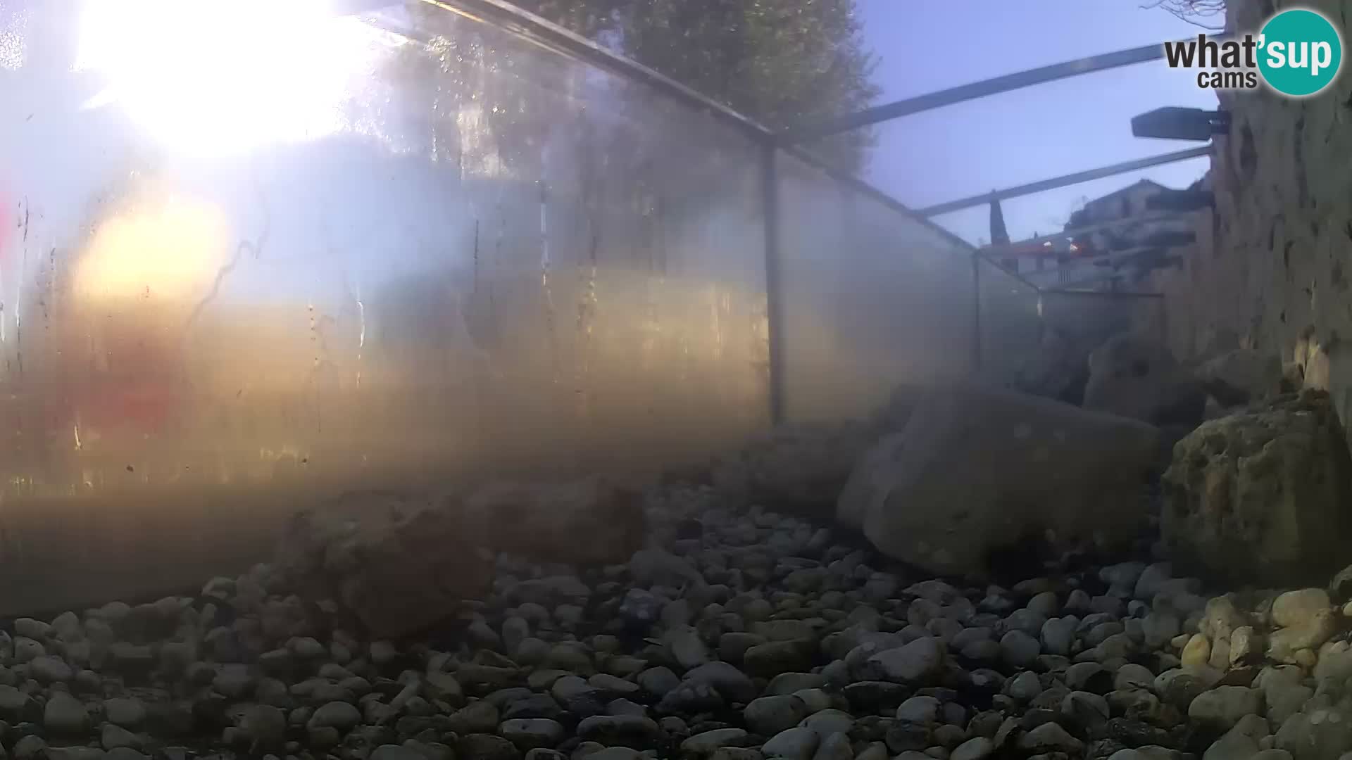 Outdoor Marine Aquarium Rogoznica webcam Croatia