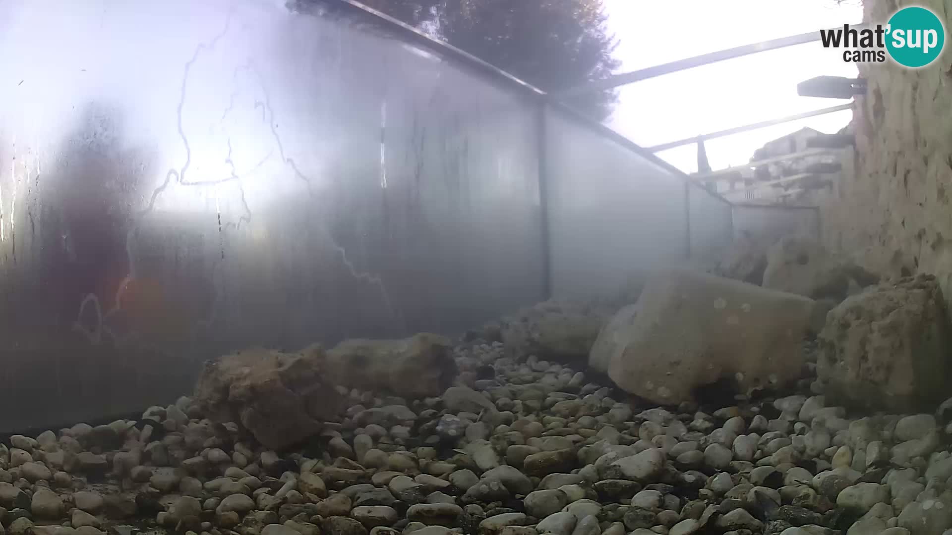 Webcam de l’aquarium marin extérieur de Rogoznica Croatie
