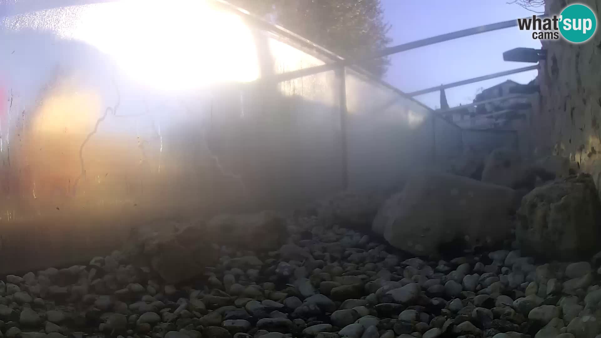 Aquario marino esterno –  Rogoznica livecam Croazia