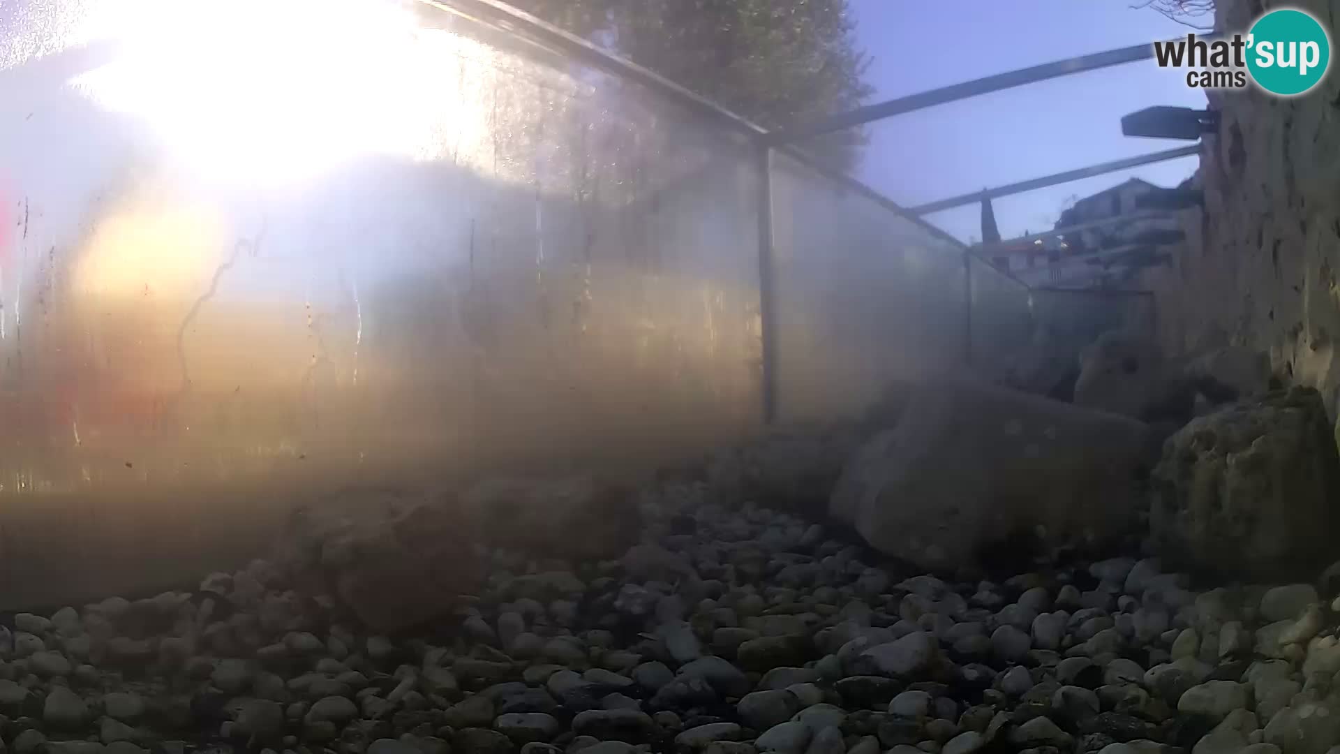 Aquario marino esterno –  Rogoznica livecam Croazia