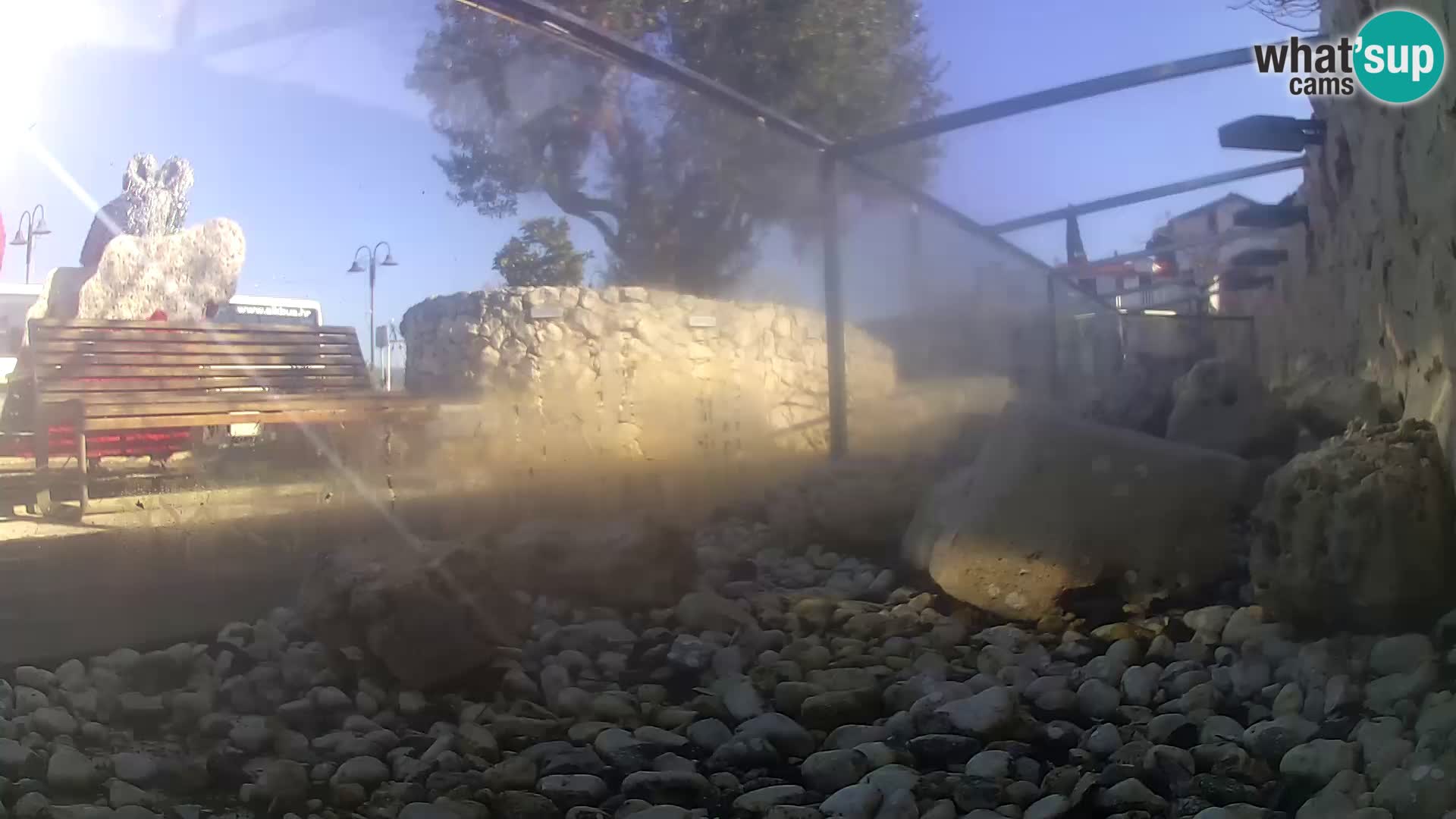 Zunanji morski akvarij Rogoznica spletna kamera Hrvaška