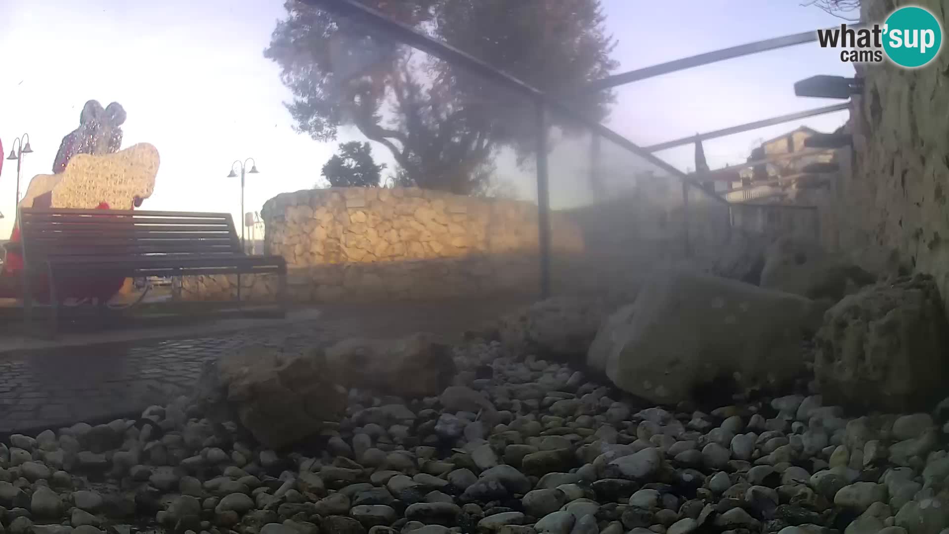 Outdoor Marine Aquarium Rogoznica webcam Croatia