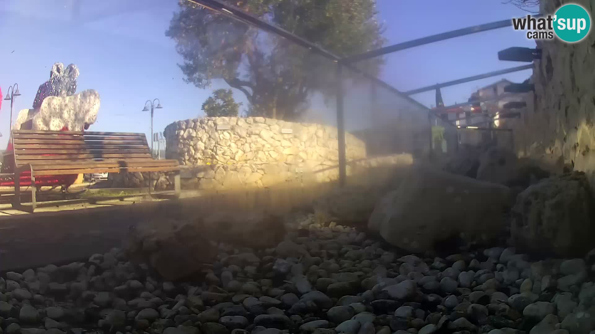 Zunanji morski akvarij Rogoznica spletna kamera Hrvaška