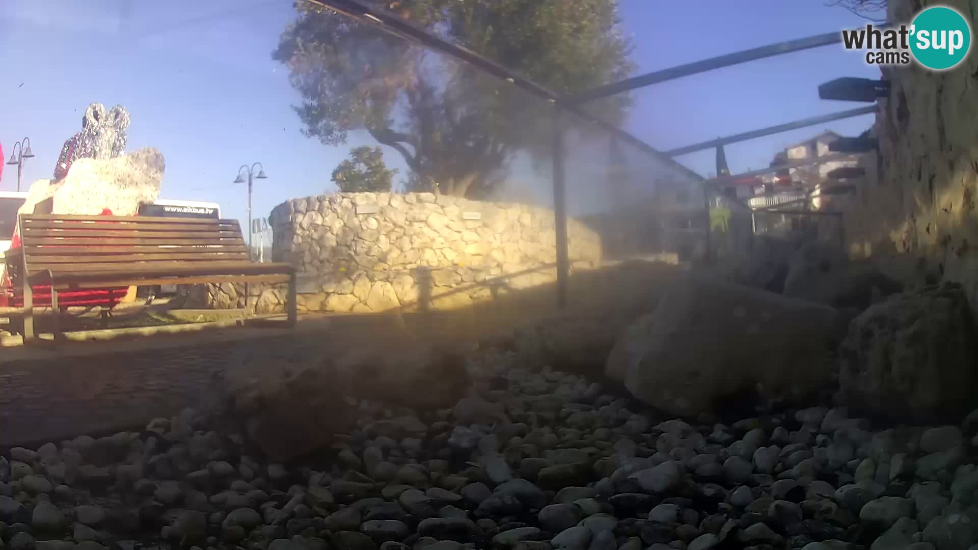 Acuario marino al aire libre Rogoznica webcam Croacia