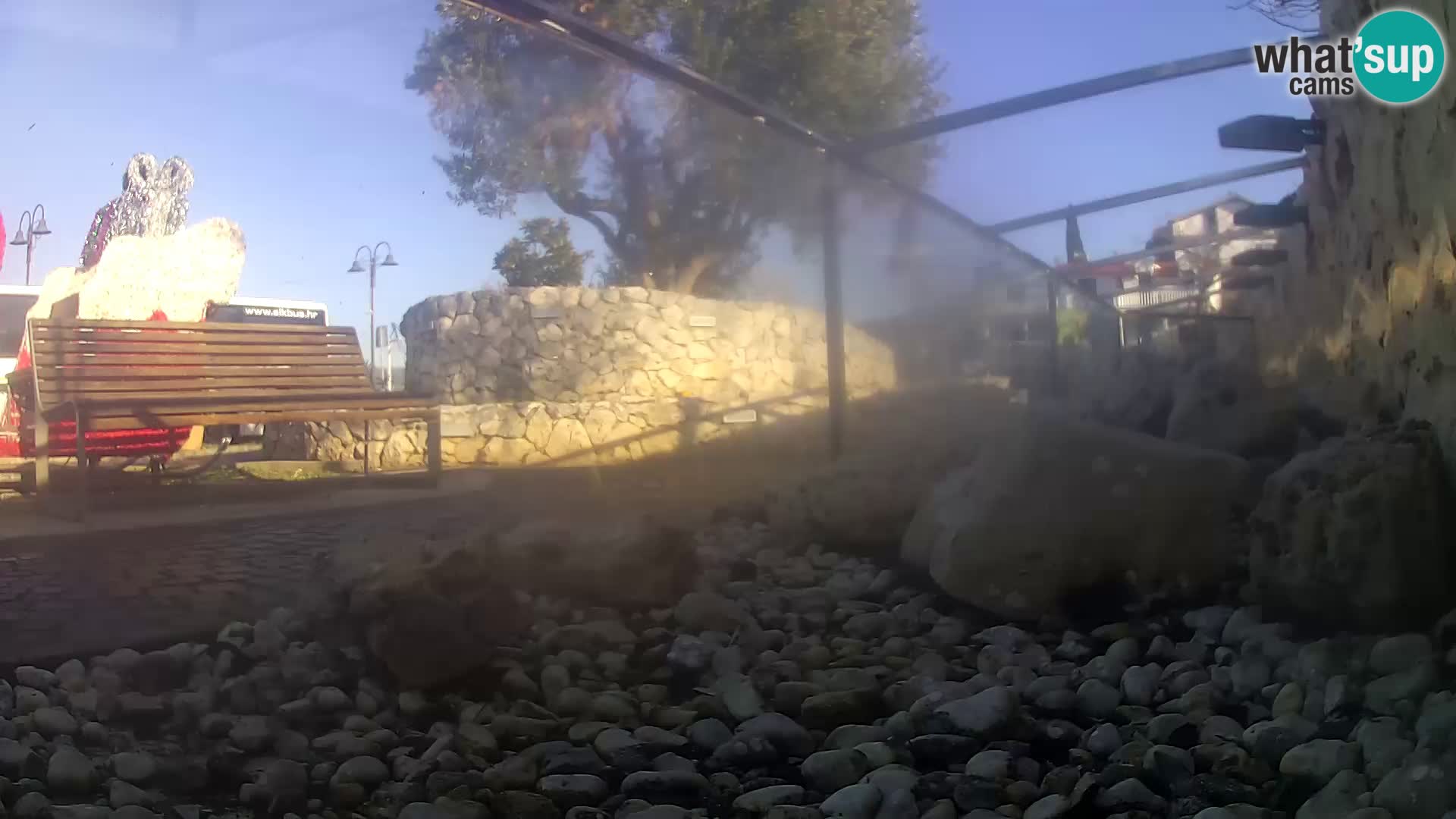 Acuario marino al aire libre Rogoznica webcam Croacia