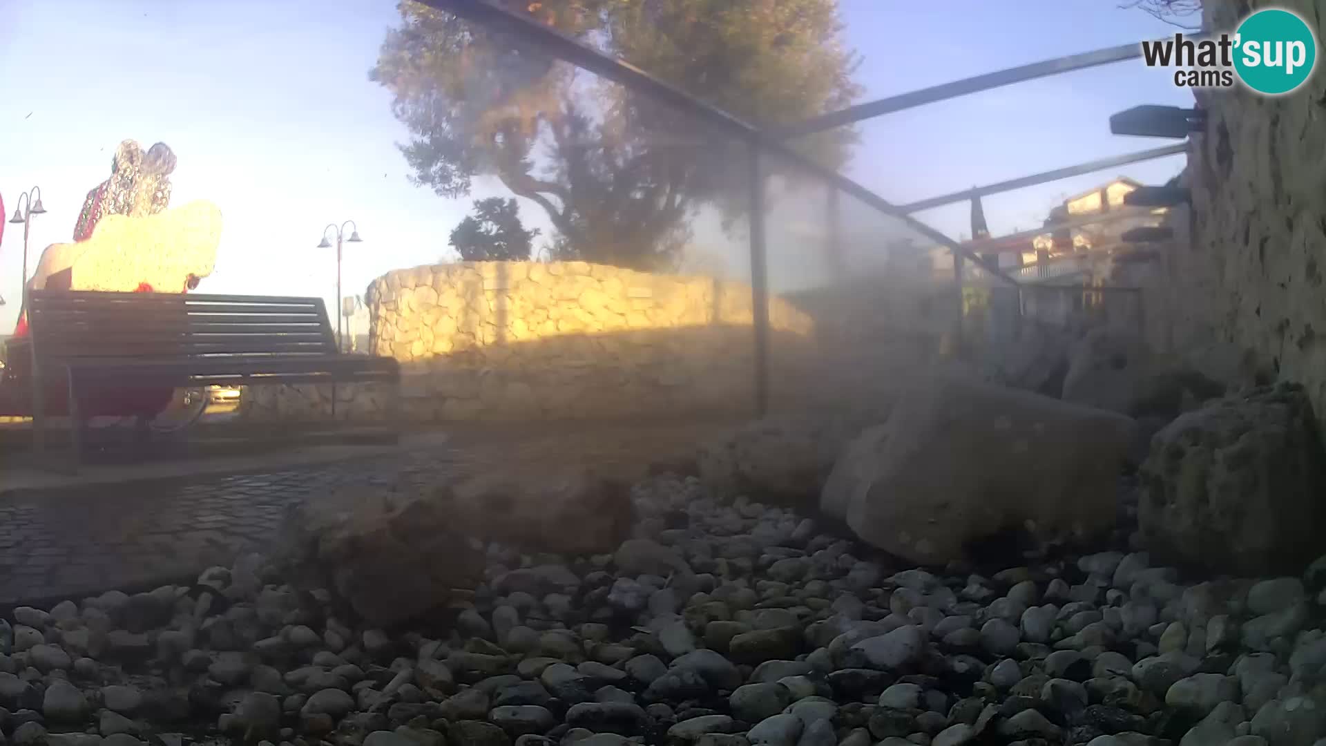 Zunanji morski akvarij Rogoznica spletna kamera Hrvaška