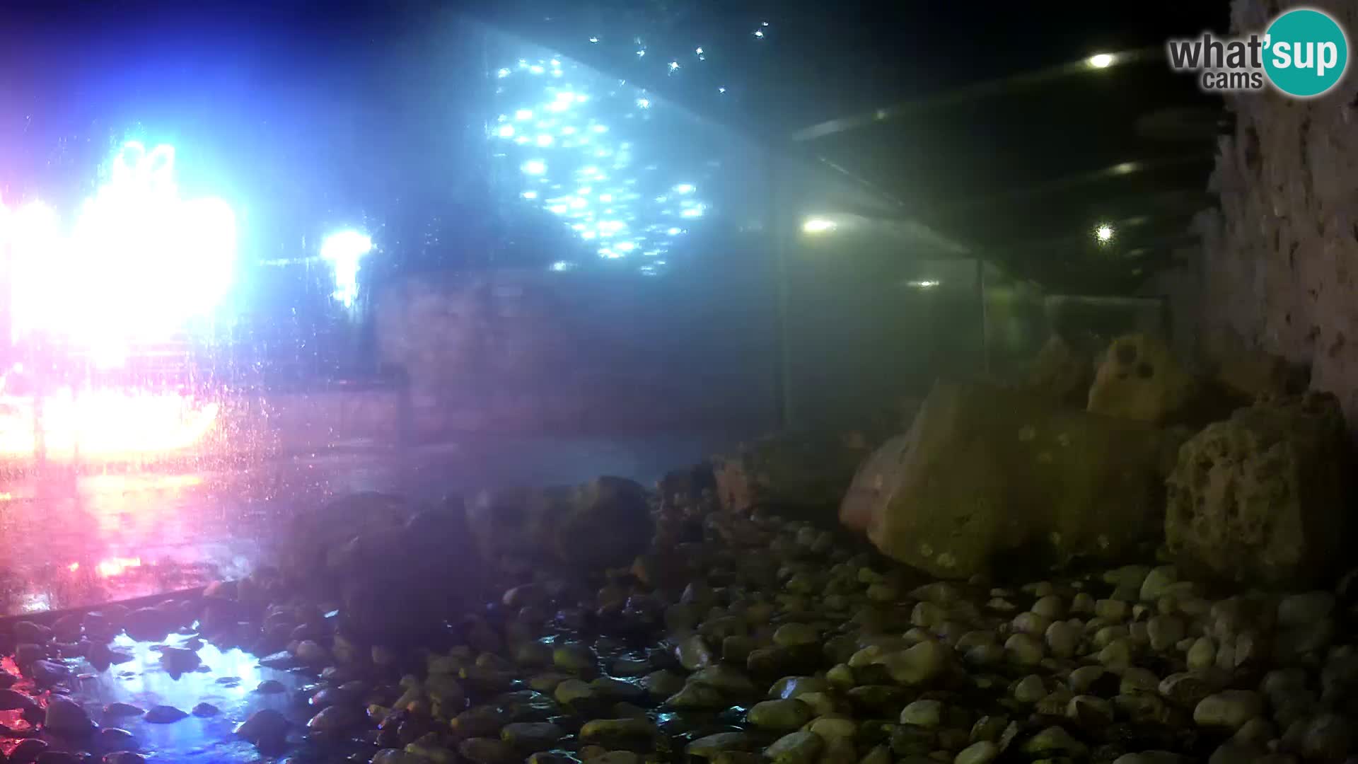 Outdoor Marine Aquarium Rogoznica webcam Croatia