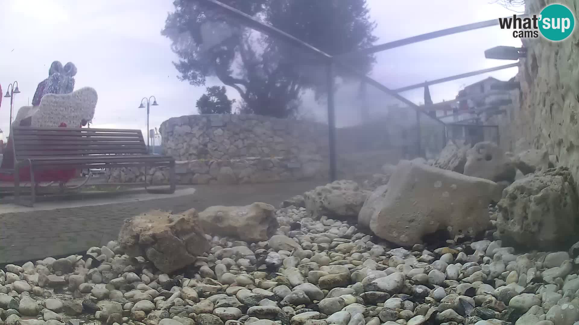 Zunanji morski akvarij Rogoznica spletna kamera Hrvaška