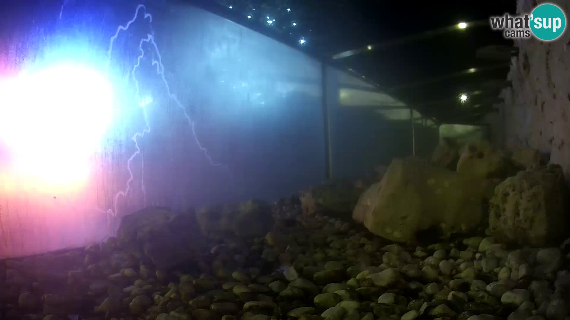 Marine Aquarium im Freien Rogoznica webcam Kroatien