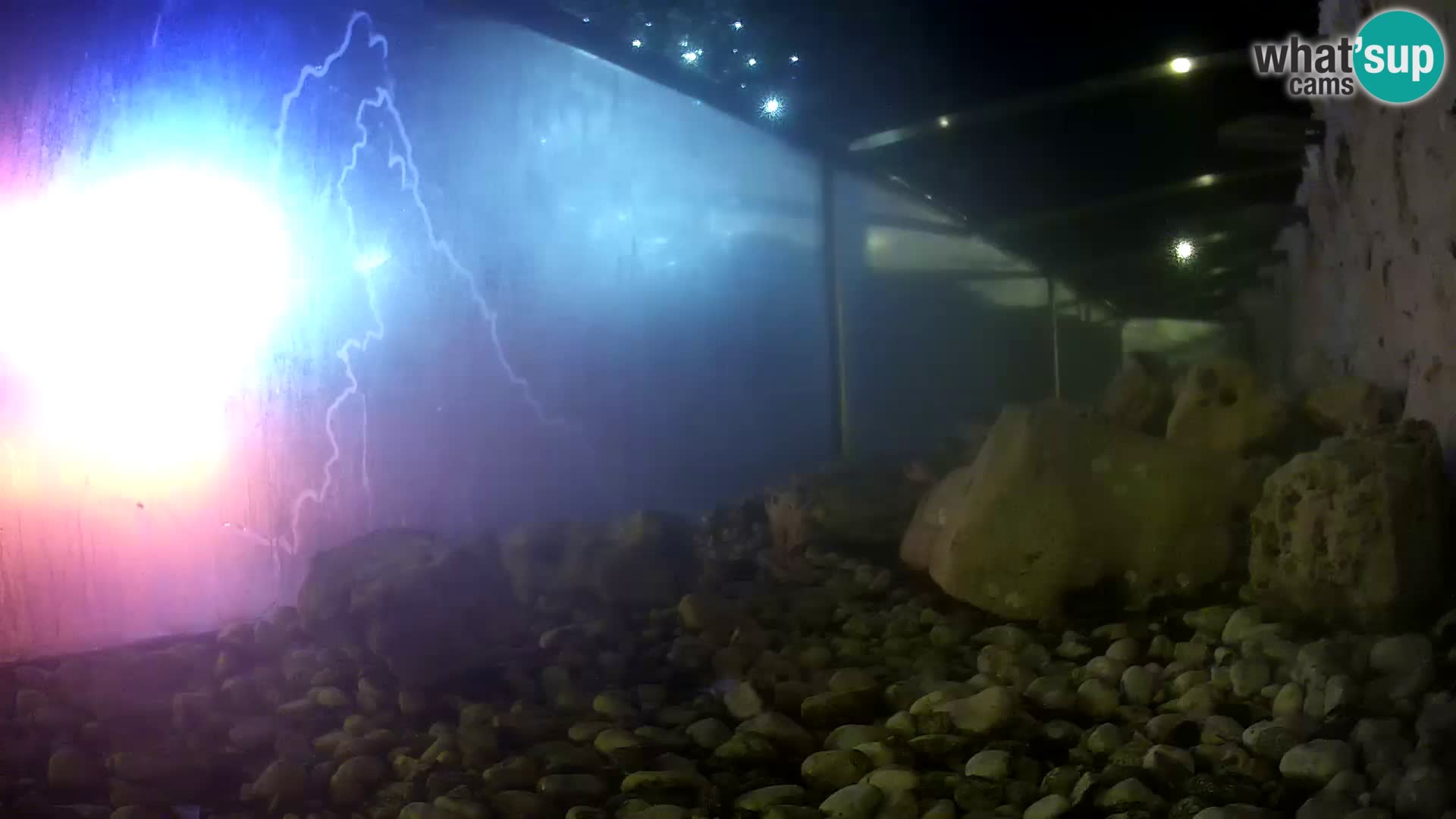 Marine Aquarium im Freien Rogoznica webcam Kroatien