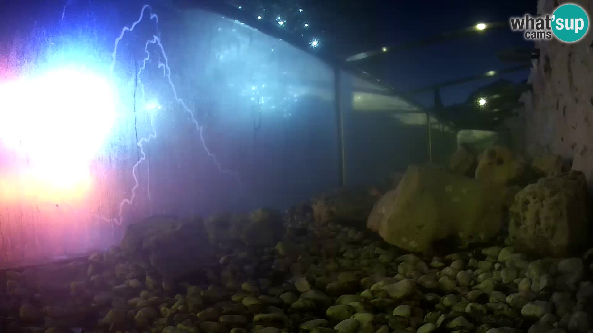 Outdoor Marine Aquarium Rogoznica webcam Croatia