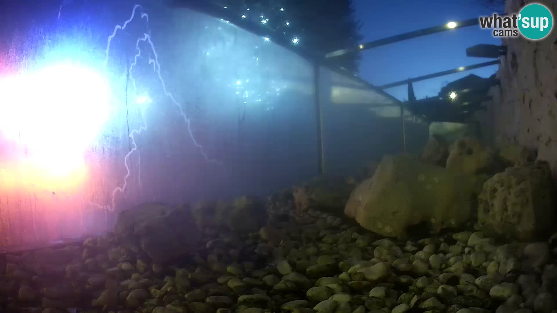 Marine Aquarium im Freien Rogoznica webcam Kroatien