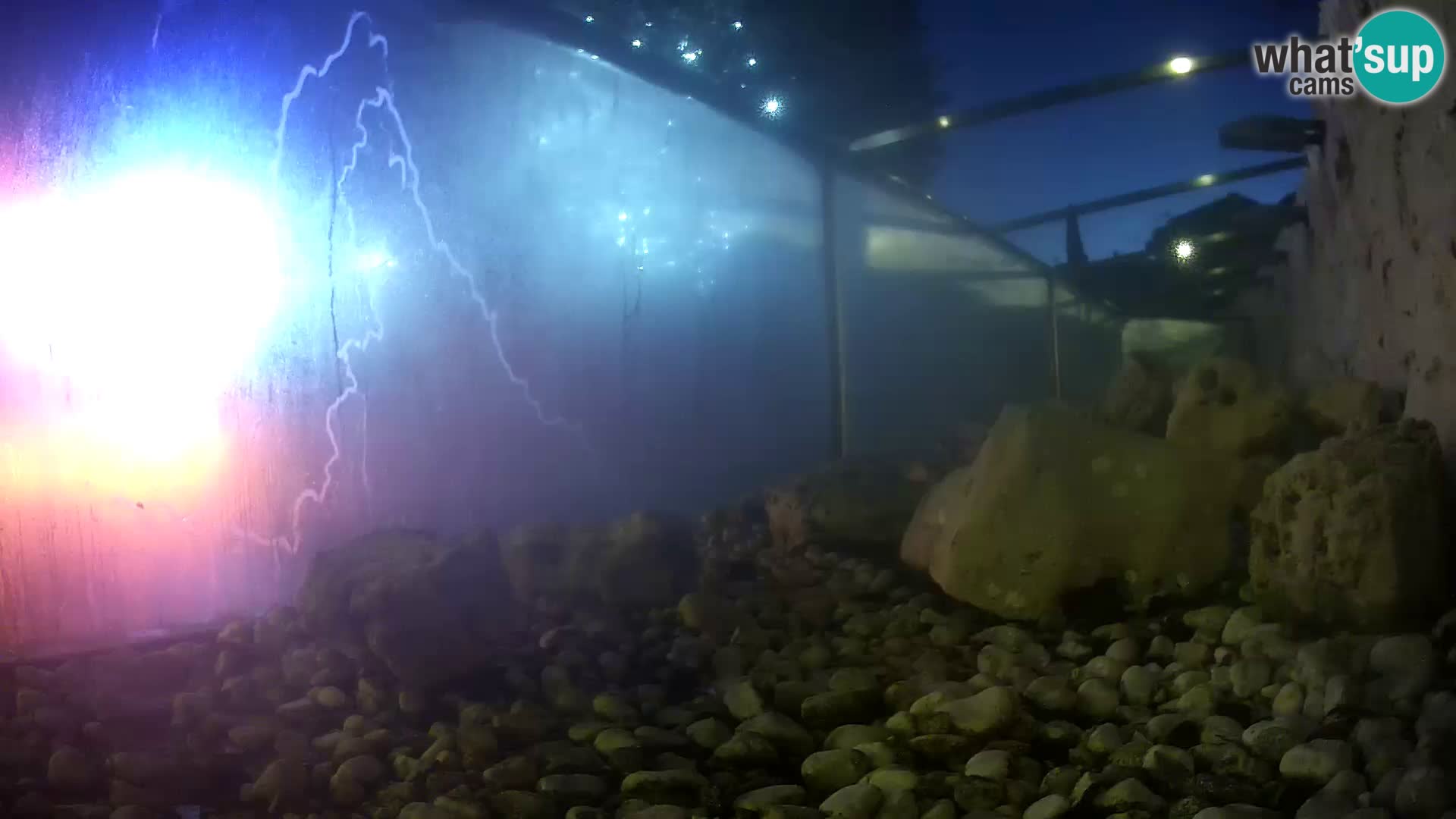 Marine Aquarium im Freien Rogoznica webcam Kroatien