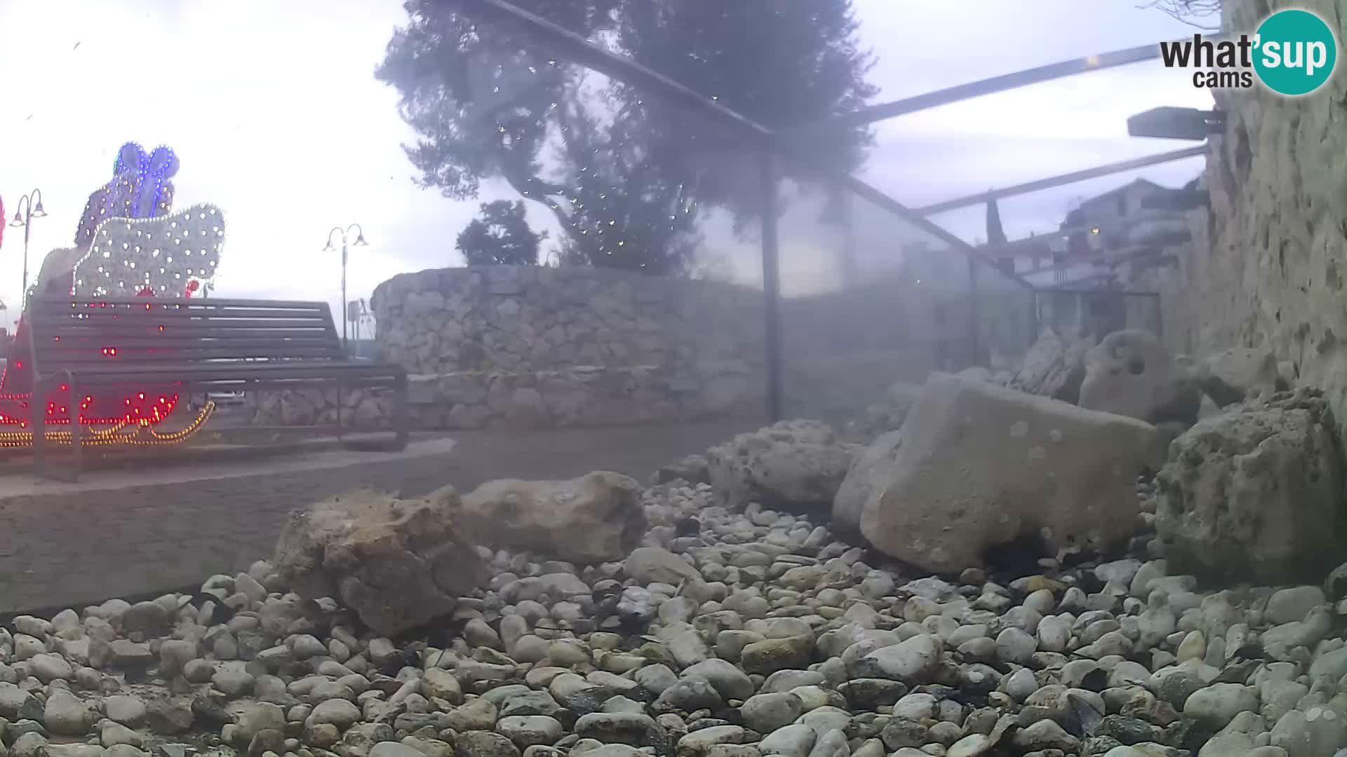 Aquario marino esterno –  Rogoznica livecam Croazia