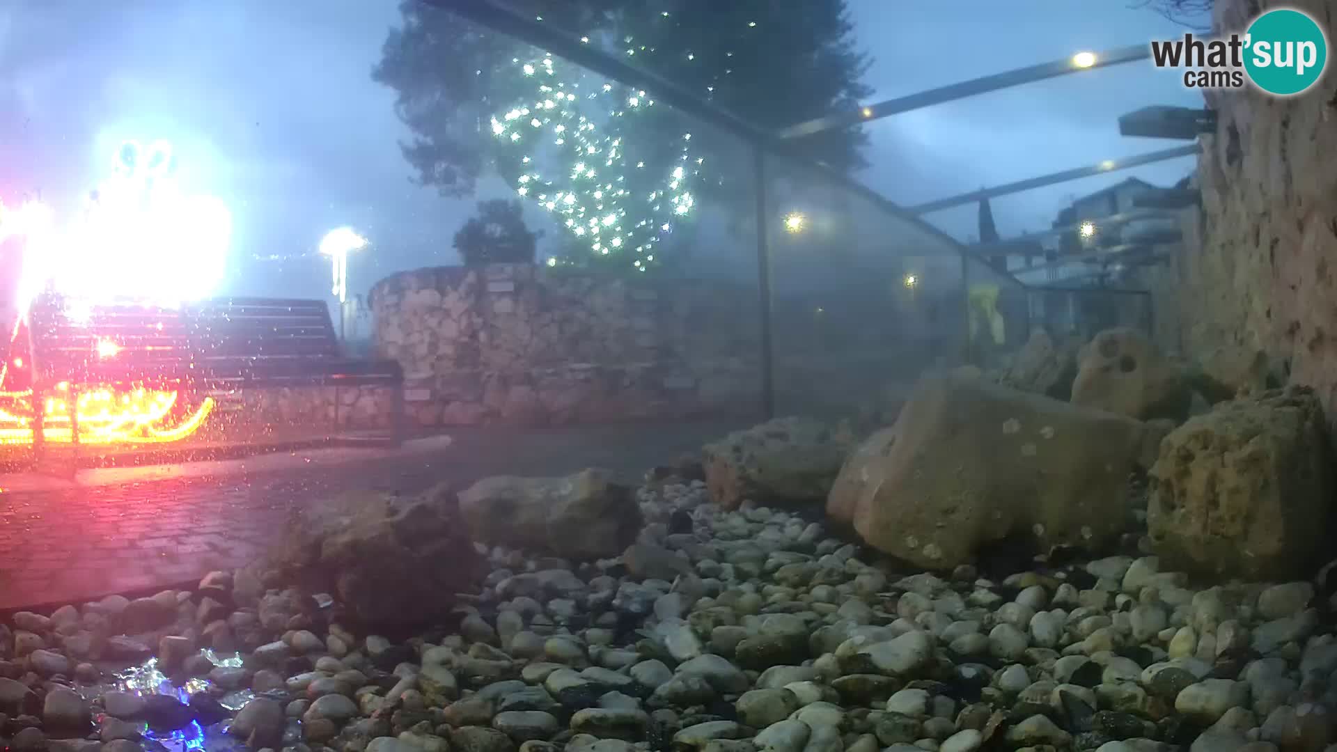 Zunanji morski akvarij Rogoznica spletna kamera Hrvaška