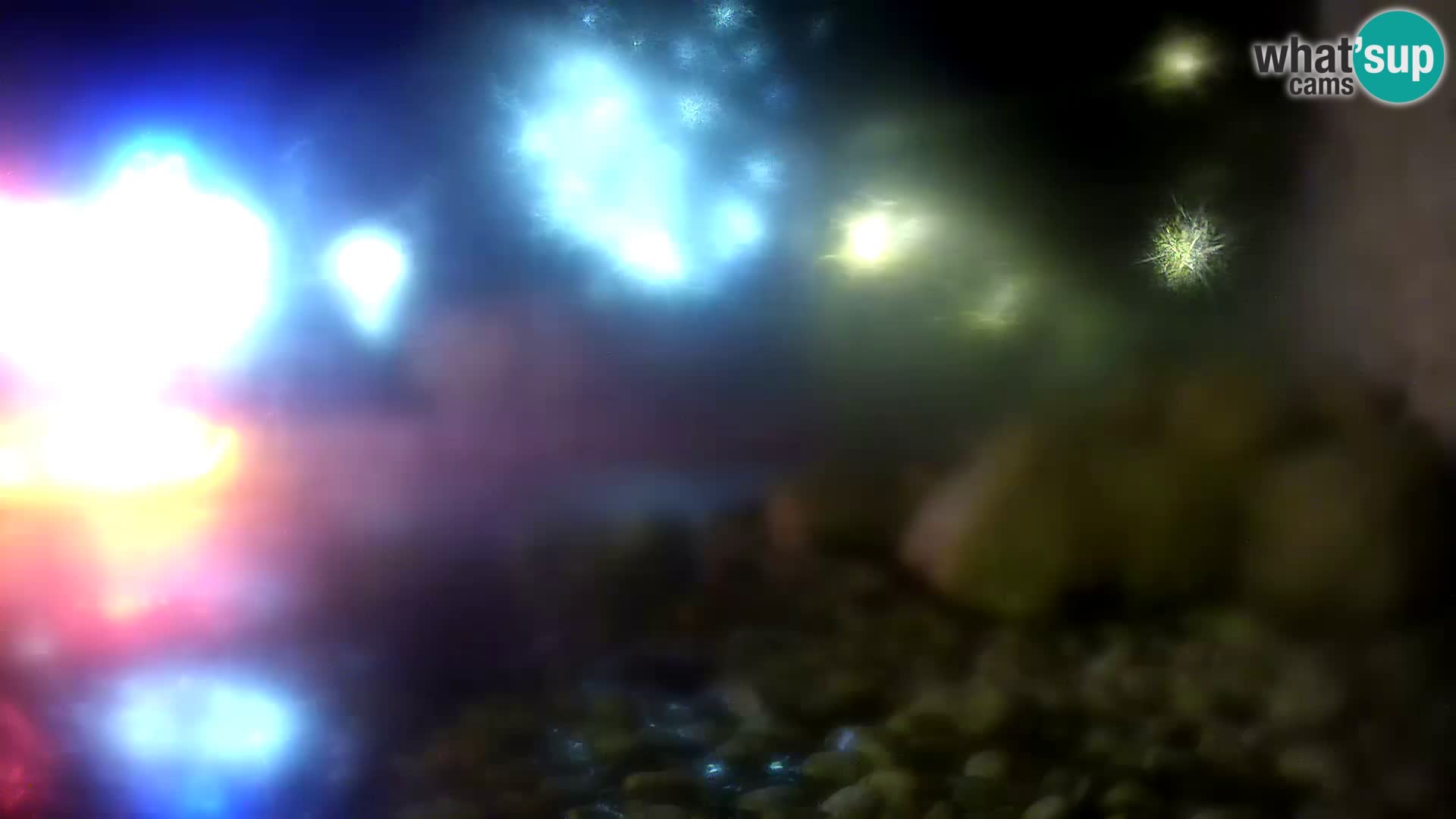 Outdoor Marine Aquarium Rogoznica webcam Croatia