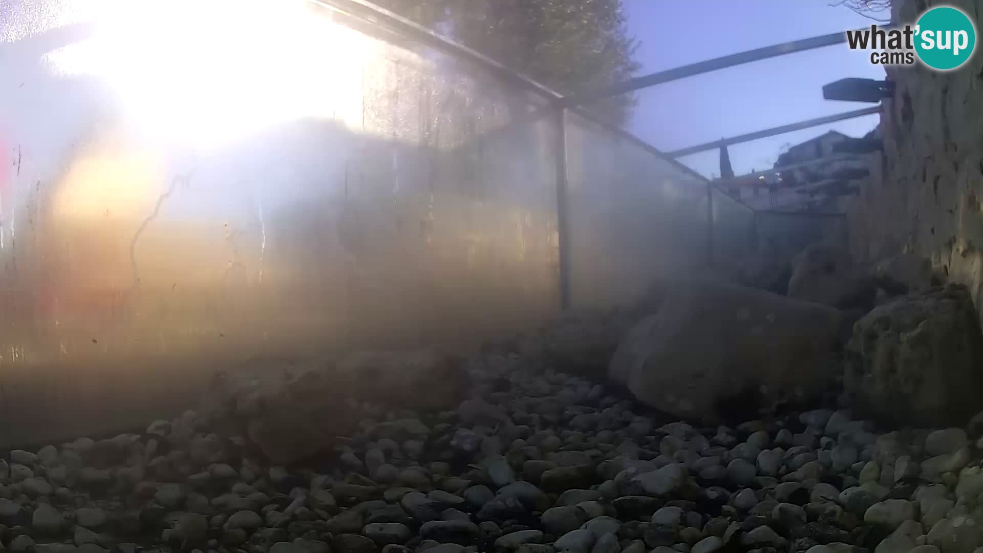 Aquario marino esterno – Rogoznica livecam Croazia