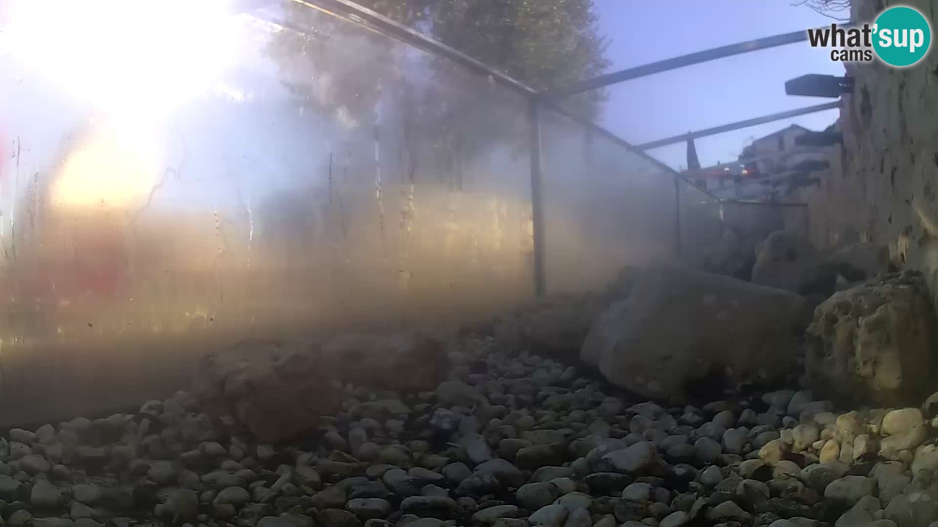 Marine Aquarium im Freien Rogoznica webcam Kroatien